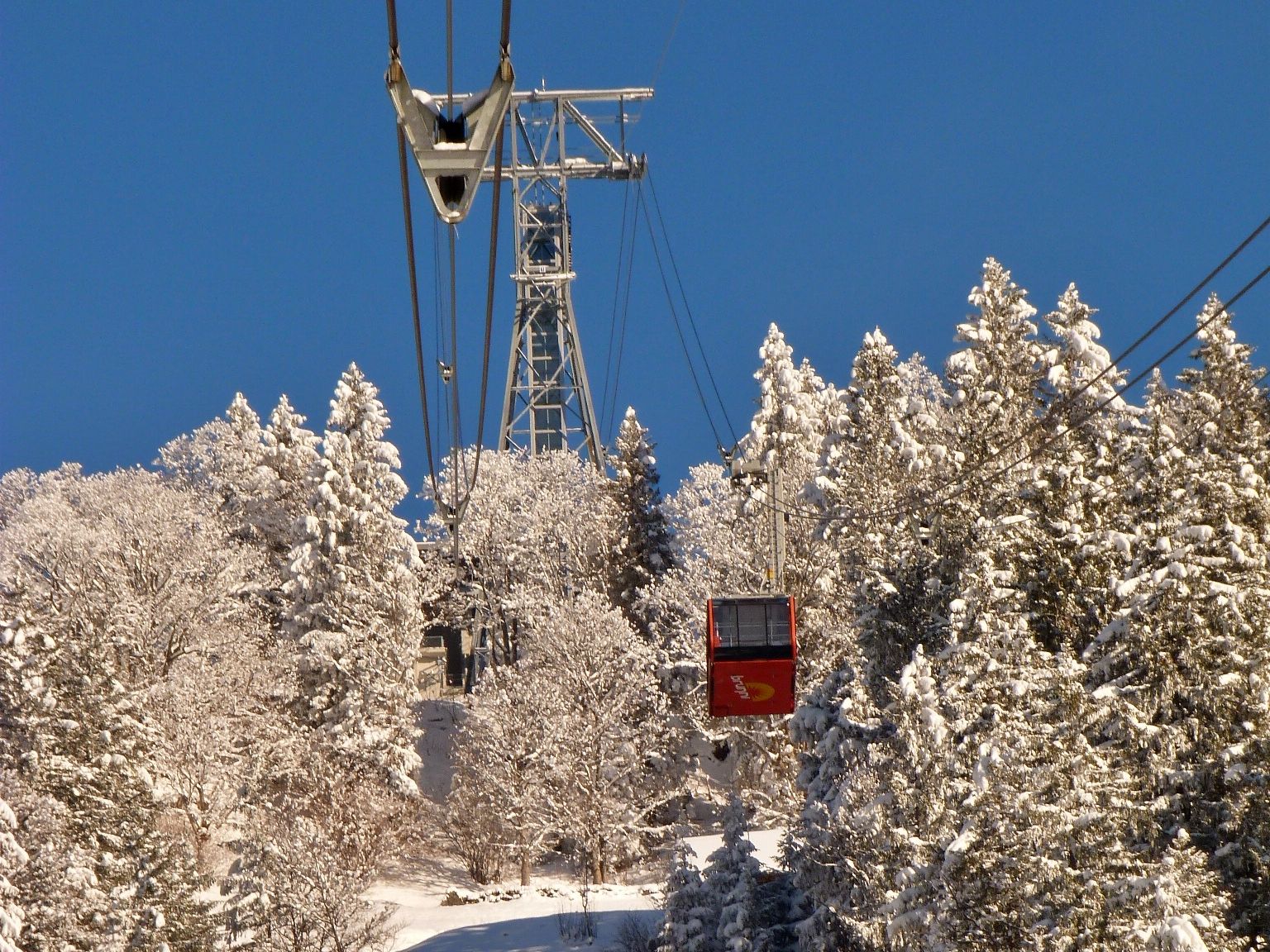 Brunni Inverno, impianto di risalita a Engelberg circondato da neve e alberi, ideale per sci e attività invernali.