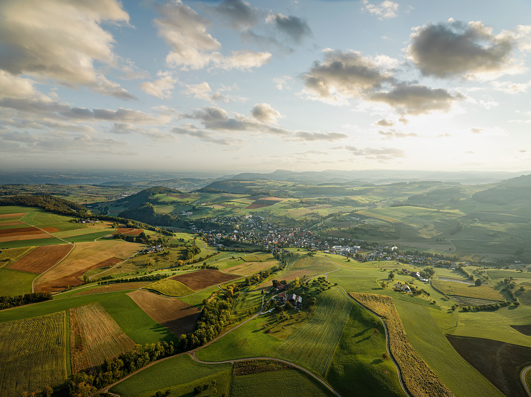 木碗：在沃尔夫林斯维尔的雕刻艺术，俯瞰起伏的乡村景色
