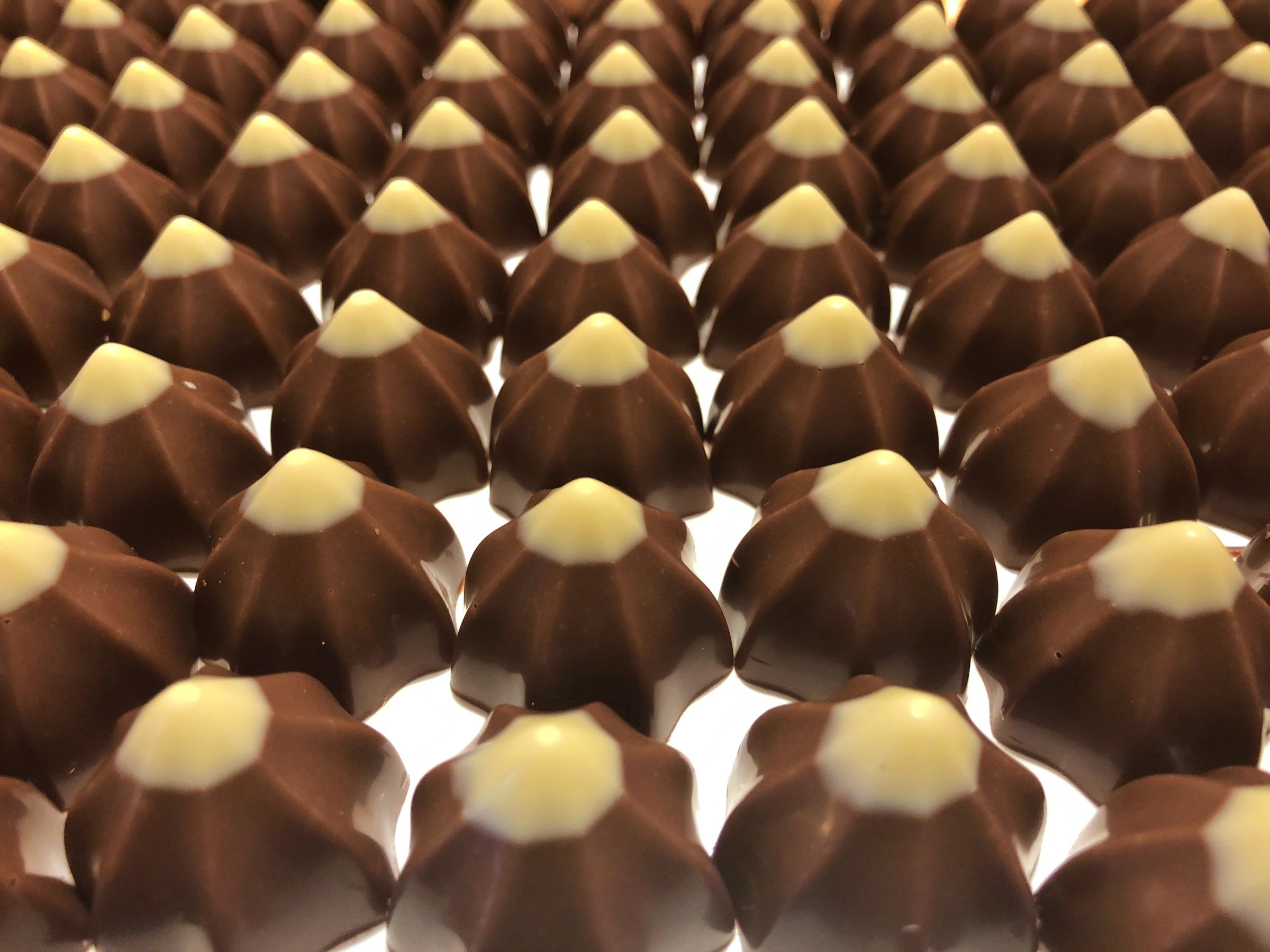 Cailler-Chokolade i Broc, specialform, chokoladens smagsprøve