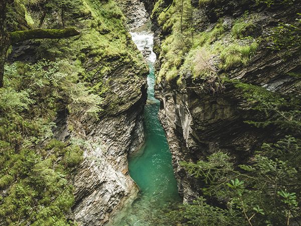 Canyoning Viamala mostra um desfiladeiro verde com água clara, rodeado por altas rochas.