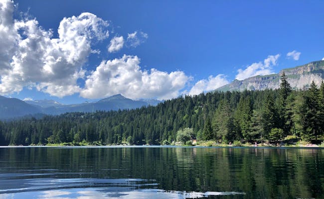 Caumasee: idyllisch bosmeer in Zwitserland, ideaal voor zomerwandelingen en natuurervaringen.