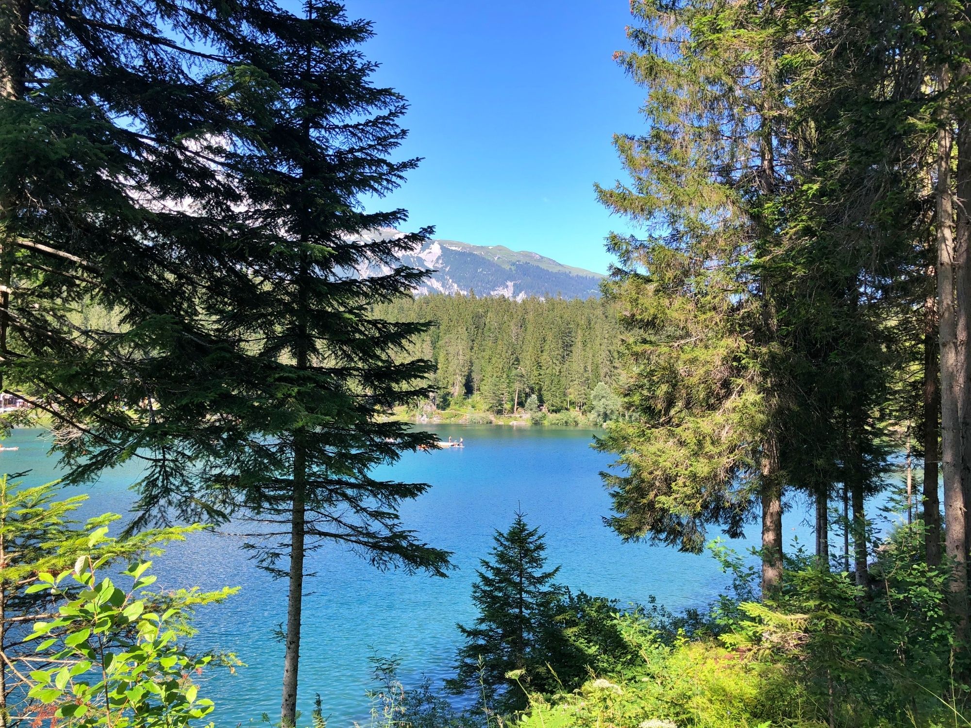 Caumasee: malerische Landschaft mit blauem Wasser, umgeben von Wäldern in der Schweiz.