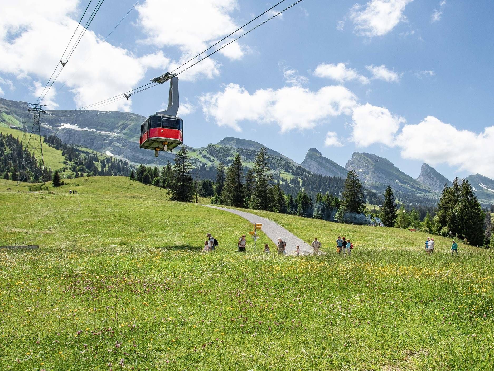 Chaeserrugg Bahn: Rilassati mentre guidi attraverso le montagne del Toggenburgo in estate con famiglia e amici.
