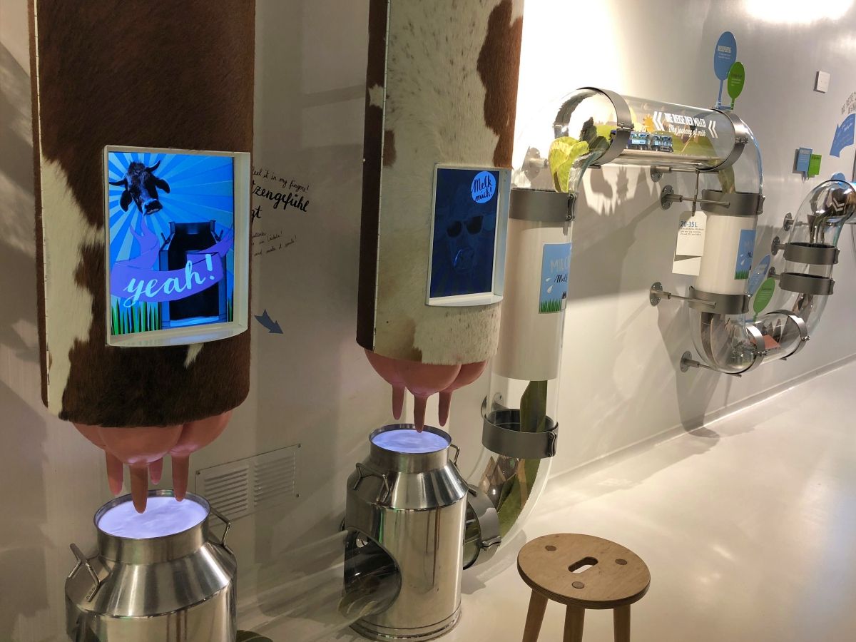 Kømmemælk i Chocolarium, interaktiv station med ko-dukker og mælkeudstyr.