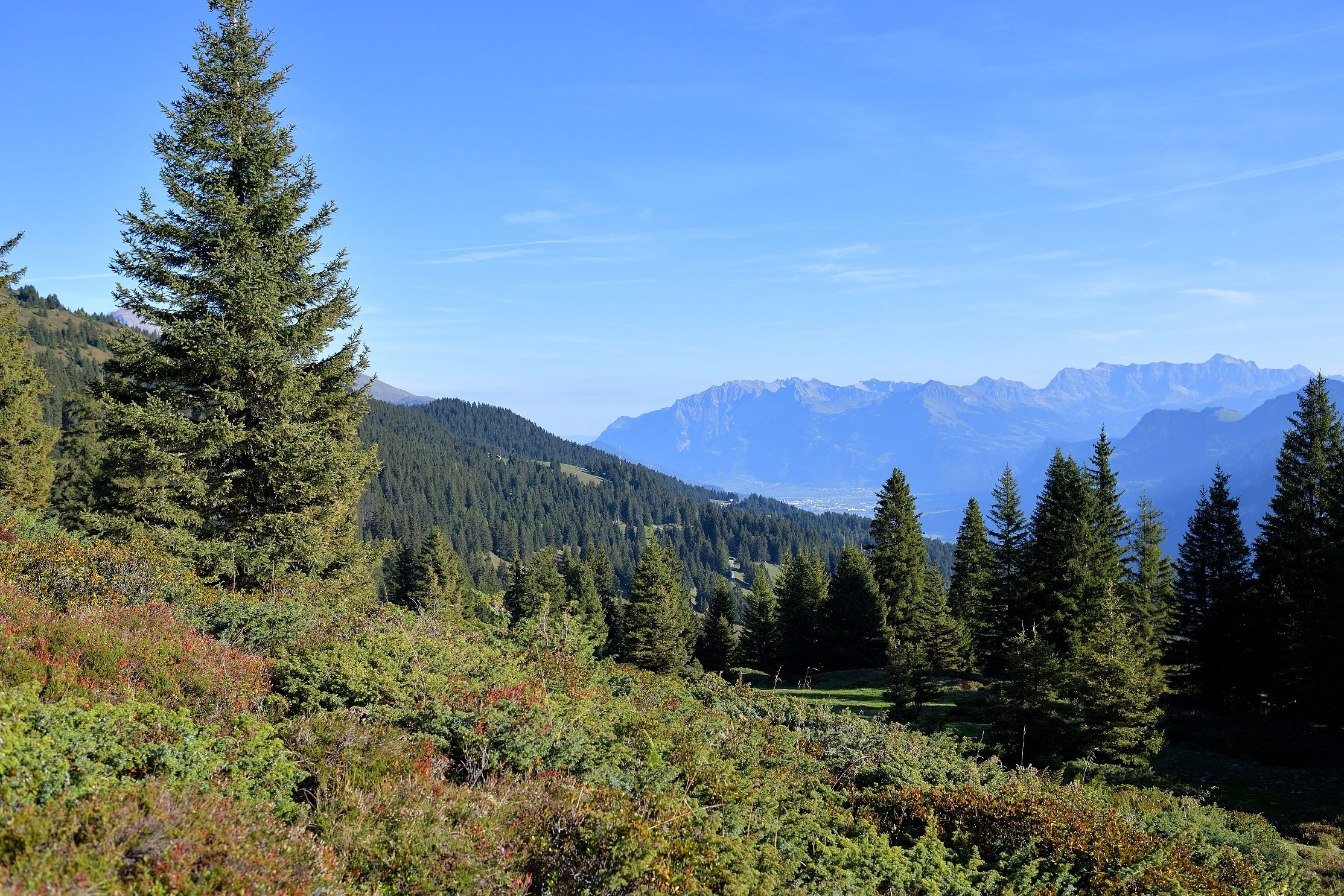 Jalan-jalan sambil menikmati kelezatan di Chur dengan pemandangan indah.