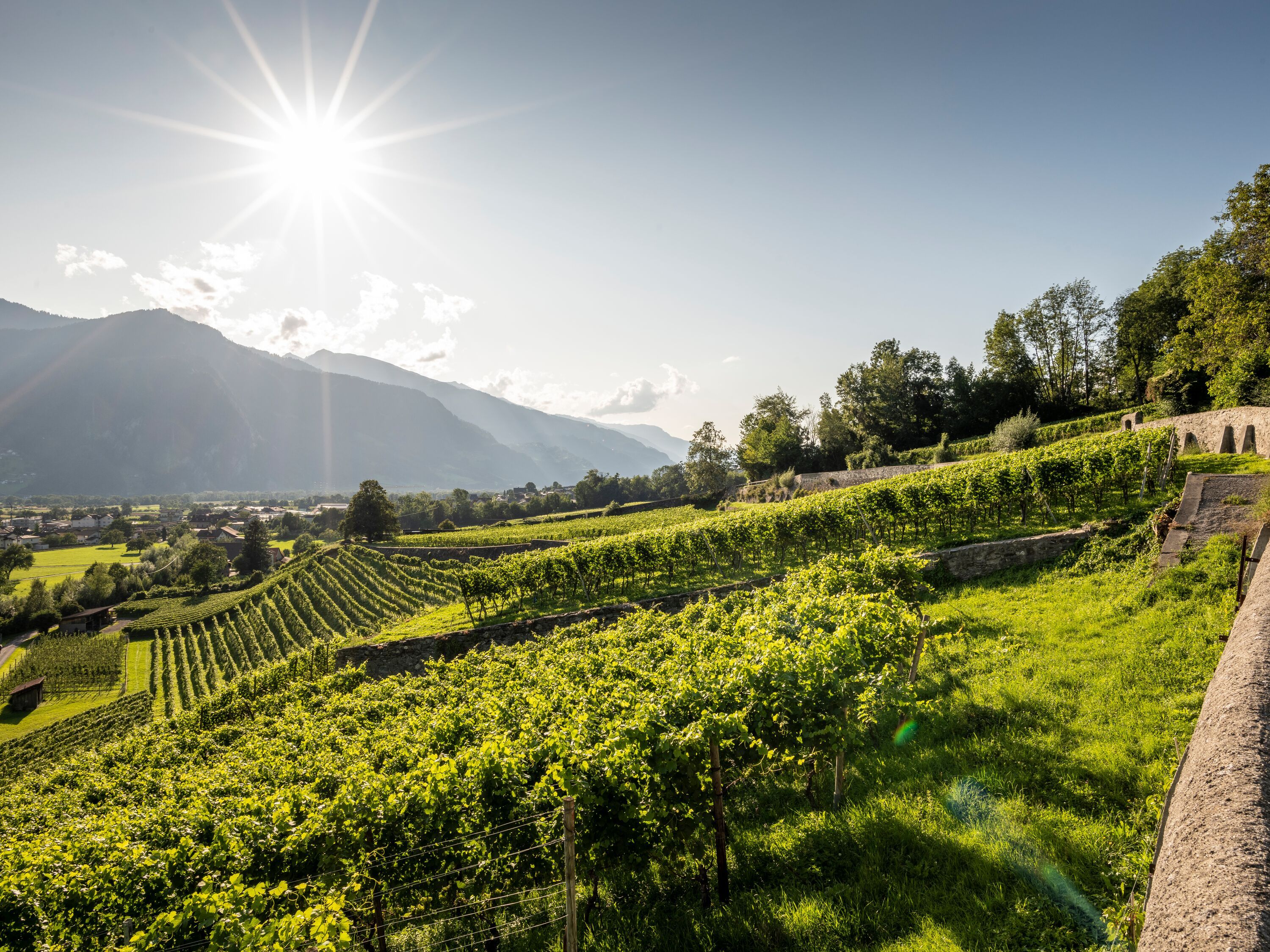 Tur sepeda listrik di wilayah Bündner Herrschaft dengan kebun anggur yang mengesankan dan pemandangan indah.