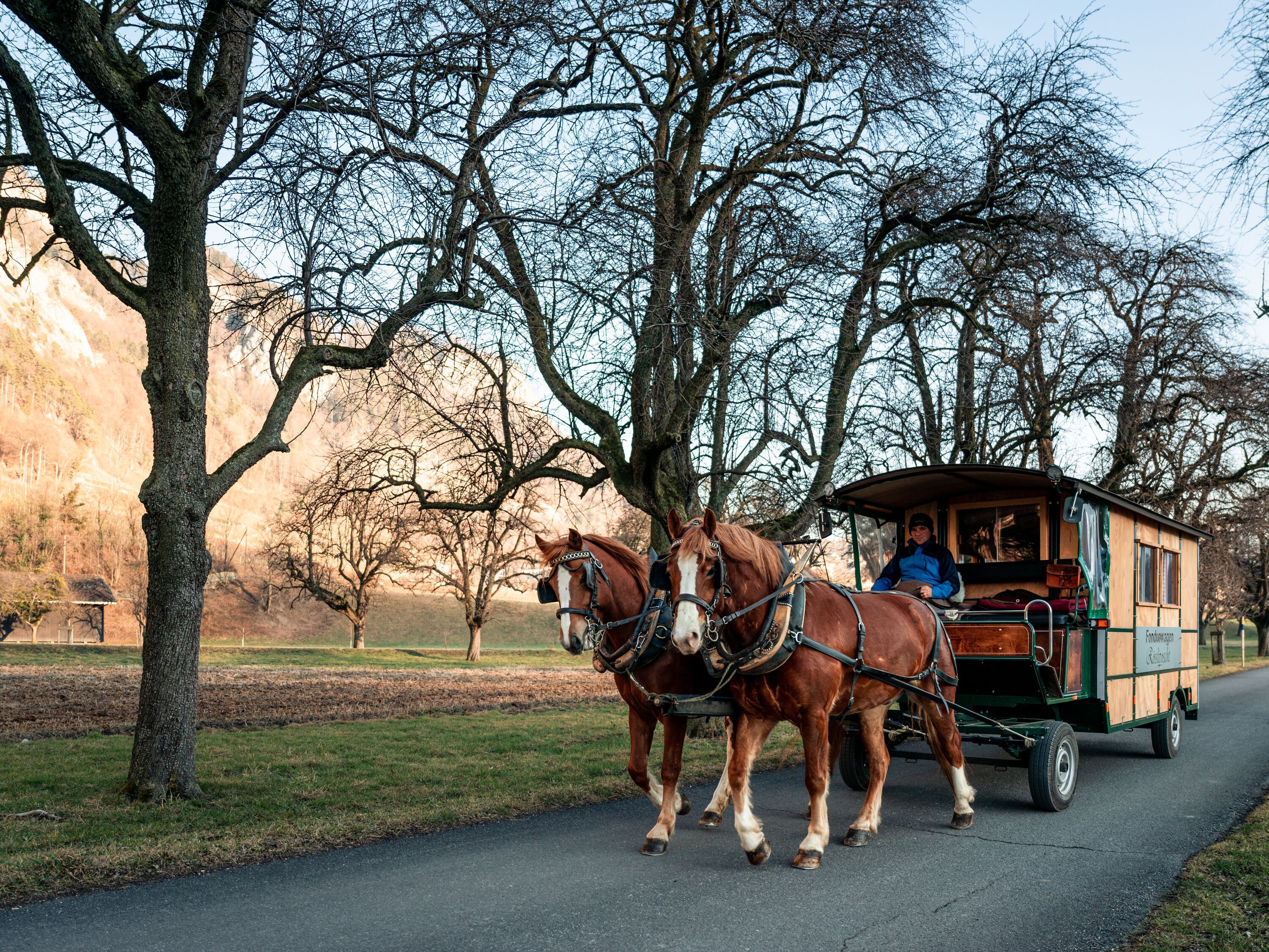 vozba v čeledníku přes švýcarské panství s koňmi a zimní přírodou. Zažij Heidiland.