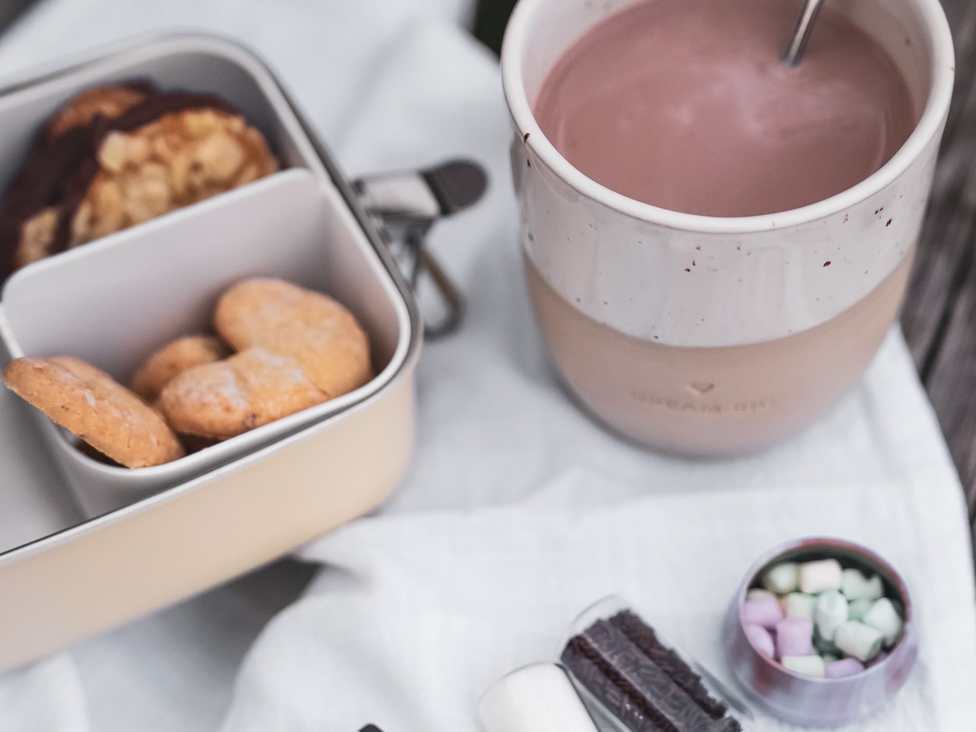 चॉकलेट फॉनड्यू: प्राकृतिक में सर्दियों के आनंद के दौरान स्वादिष्ट कुकीज़ और गर्म चॉकलेट का आनंद लें।