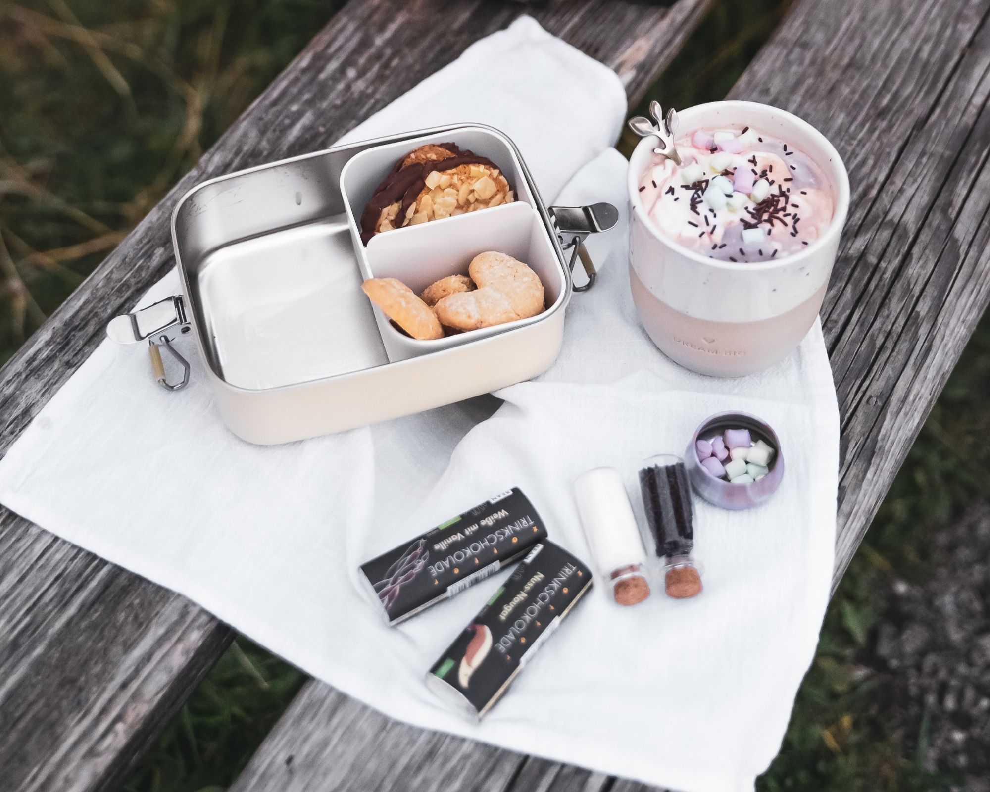 प्राकृतिक में कुकीज़ और मिठाइयों के साथ चॉकलेटी फोंड्यू, गर्मियों में पिकनिक के लिए शानदार।