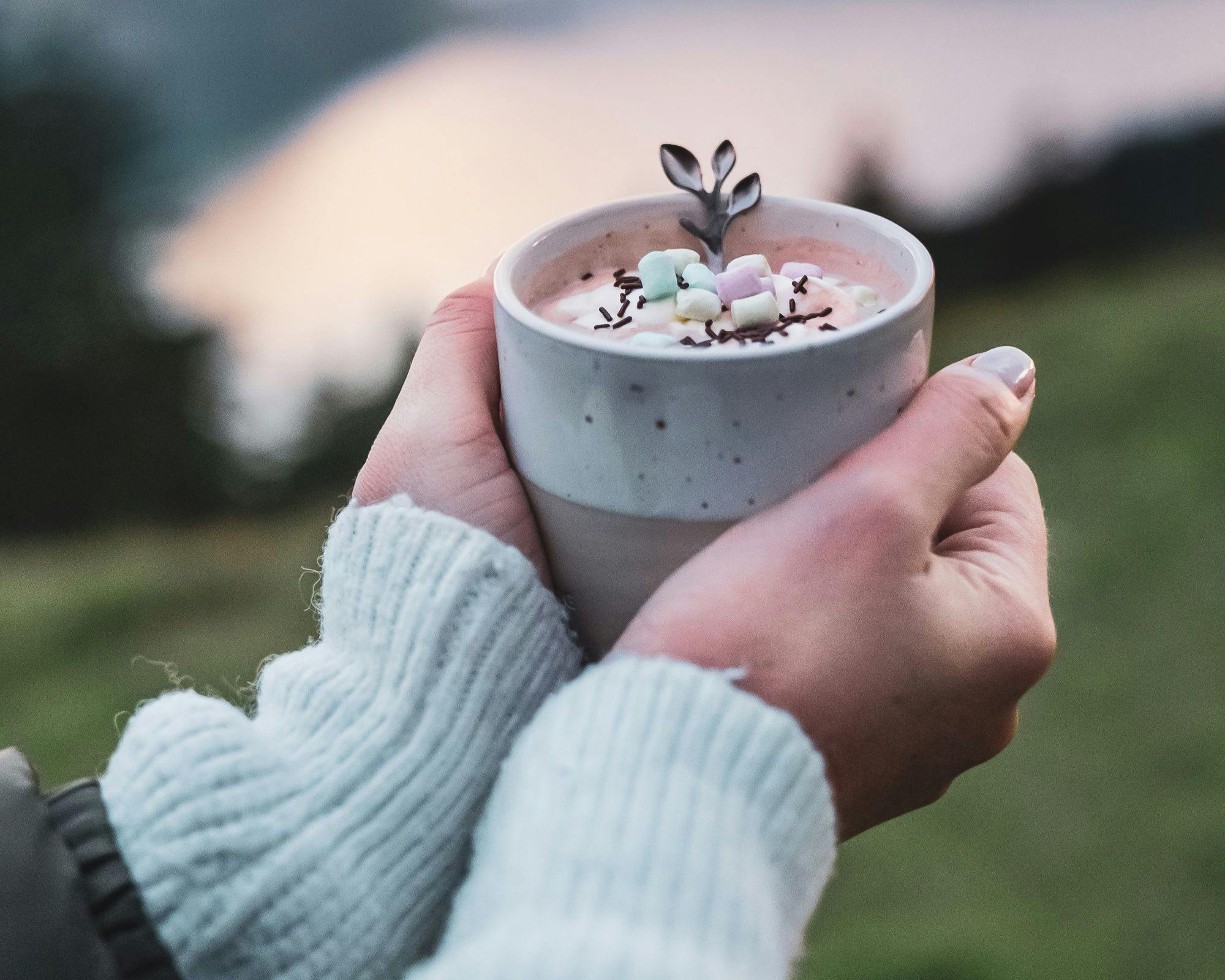 Schokoladenfondue auf der Seebodenalp
