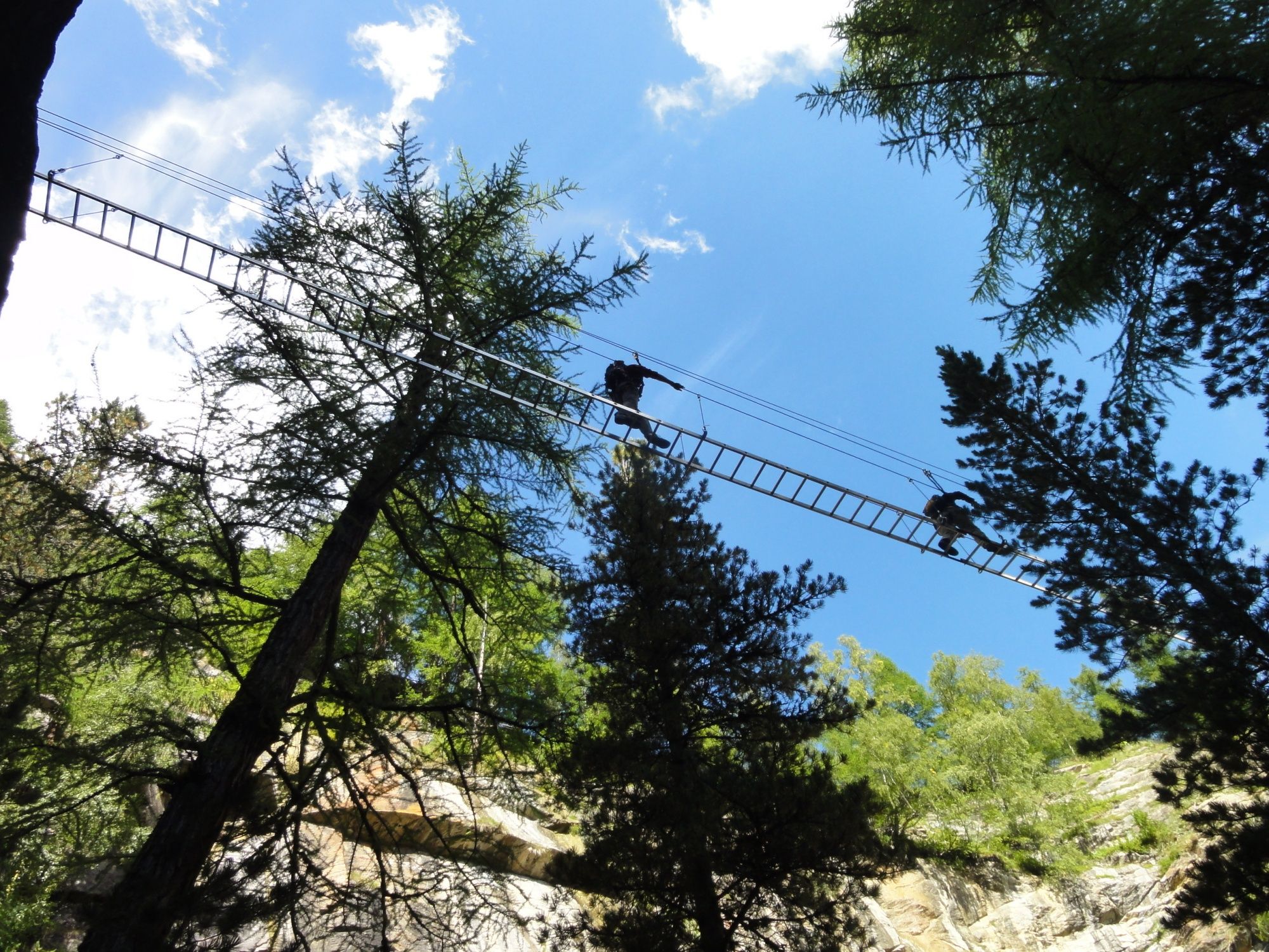 लोहे की पहाड़ियों पर टंगने वाली सीढ़ियों के ऊपर यात्रा, पहाड़ों वाली घाटी में, ऊँचे पेड़ों और प्राकृतिक सुंदरता से घिरी।