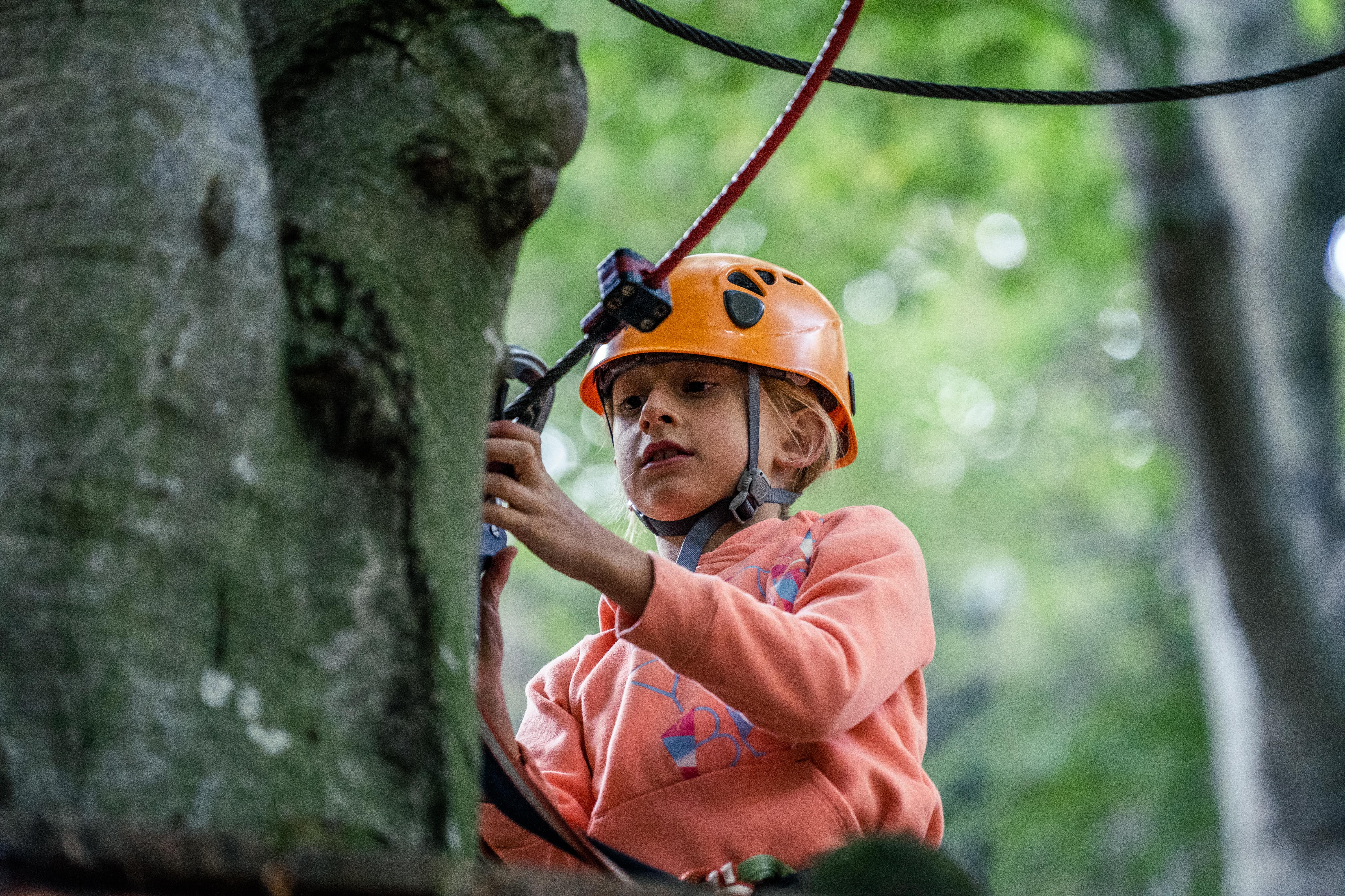 बच्चों के लिए मार्ग जिसमें पेड़ पर चढ़ने वाले बच्चे शामिल हैं।