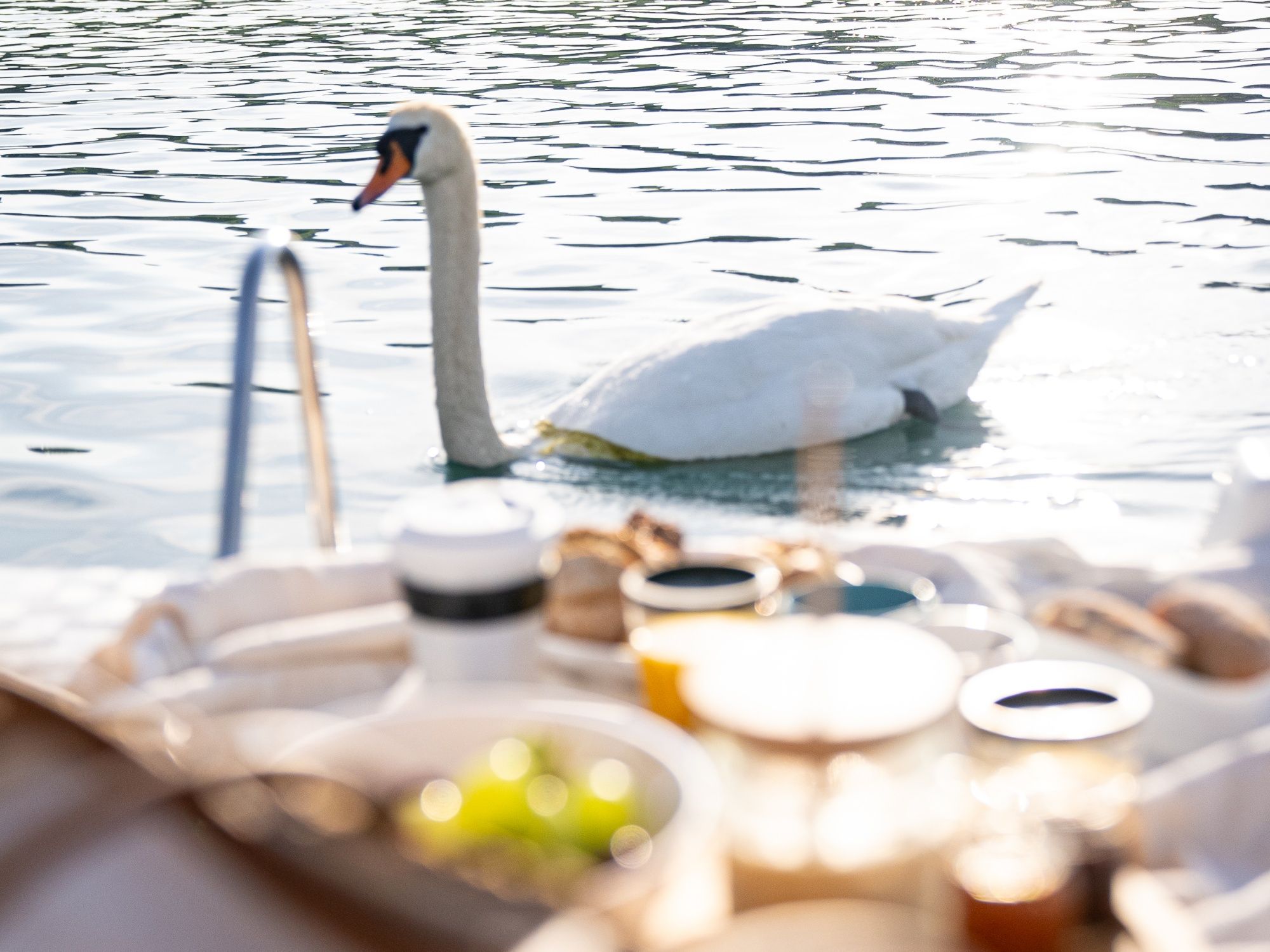 Pedálování u jezera na snídani s kachnami a čerstvým ovocem, relaxační zážitek v přírodě.