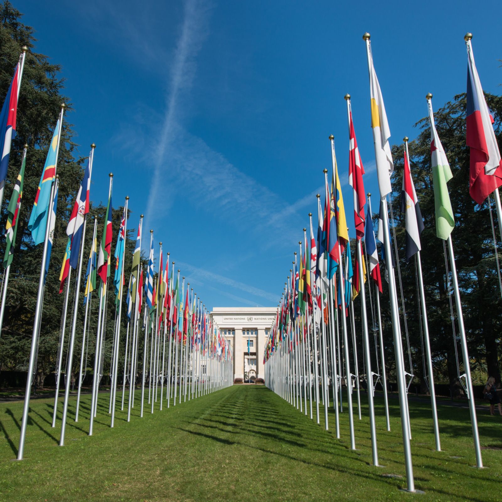 Flaggenausstellung in Genf zeigt internationale Vielfalt