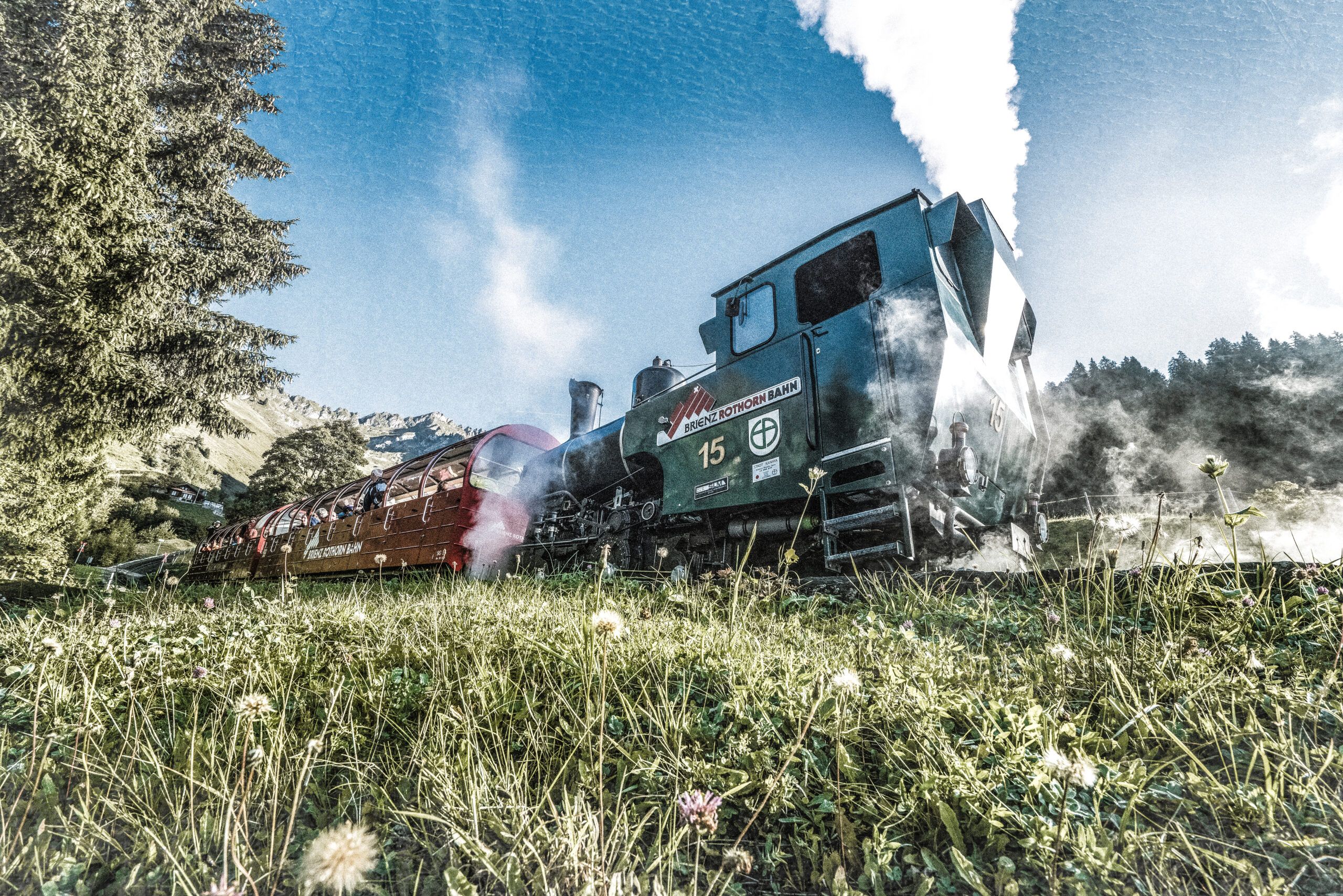 Locomotiva a vapore della Rothorn Bahn attraversa verdi praterie in montagna.