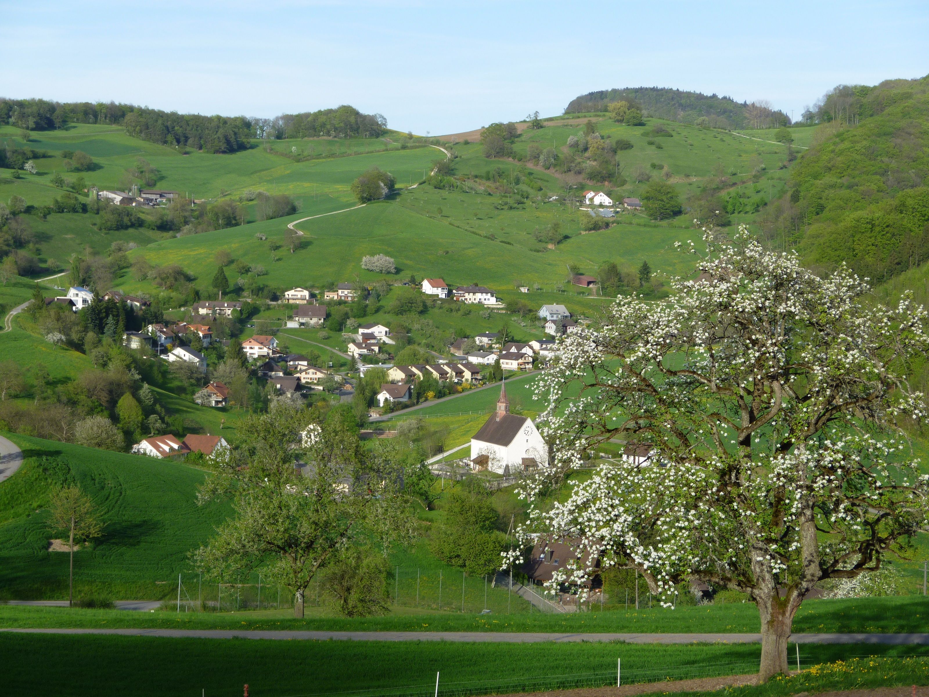 Randonnée Voyage dans le Temps Densbüren : Découvre le paysage pittoresque et la nature à Densbüren.