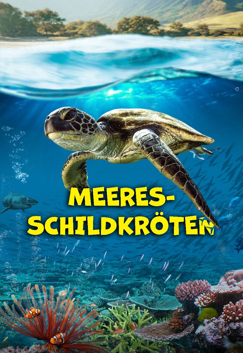 समुद्री कछुआ साफ पानी में तैर रहा है तट के पास