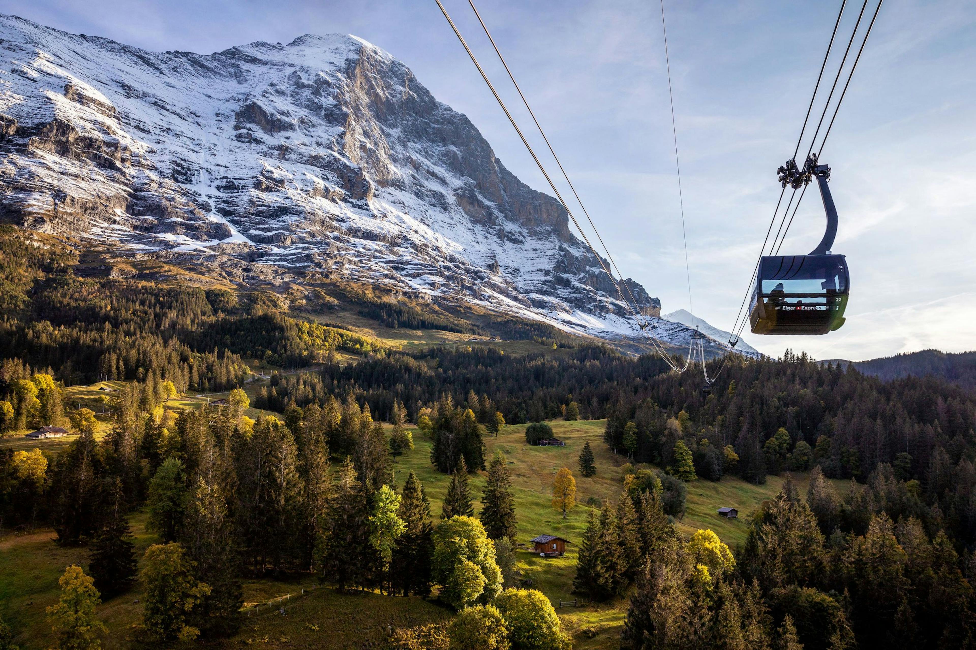 Eiger Express mit Gondel über Wiesen und Wälder in Grindelwald