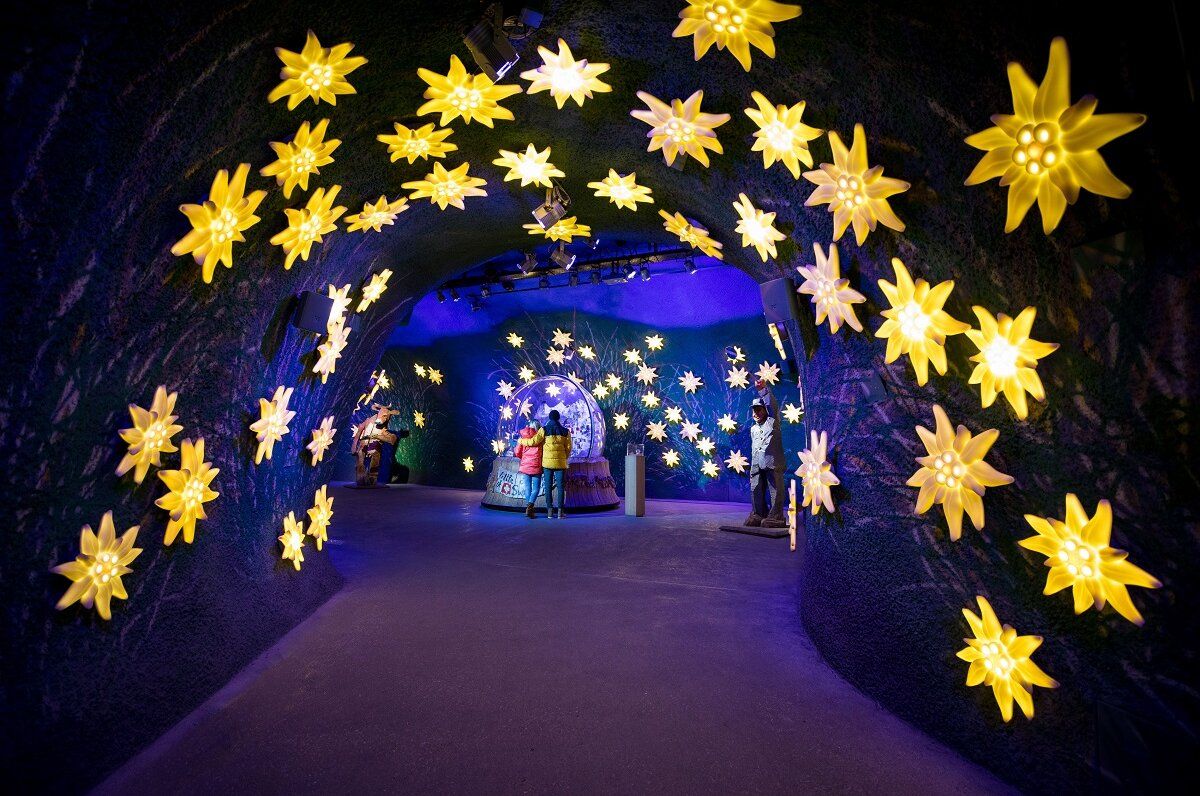 Denní výlet na Jungfrau s výhledem na žlutéedelweissové květiny uvnitř.