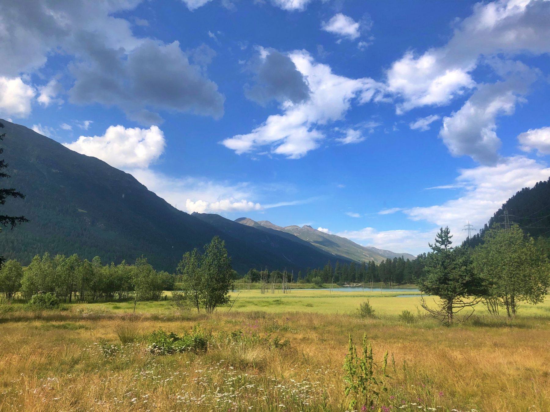 Engadin: smuk natur med enge, bjerge og blå himmel i Scuol om sommeren.