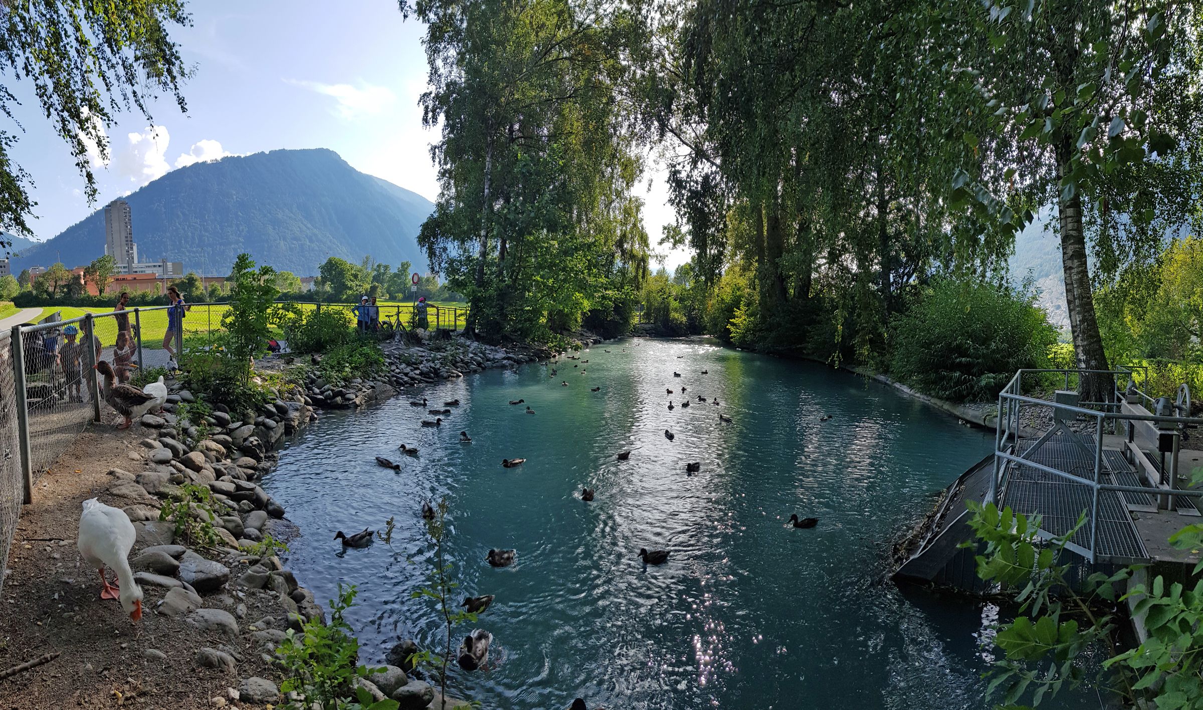 บ่อน้ำที่มีเป็ด: สถานที่เงียบสงบพร้อมวิวภูเขาที่สวยงามในเมืองมูลบัค