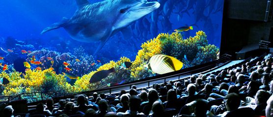  डॉल्फिन और प्रवाल भित्ति के साथ पानी के नीचे की दुनिया सिनेमा में