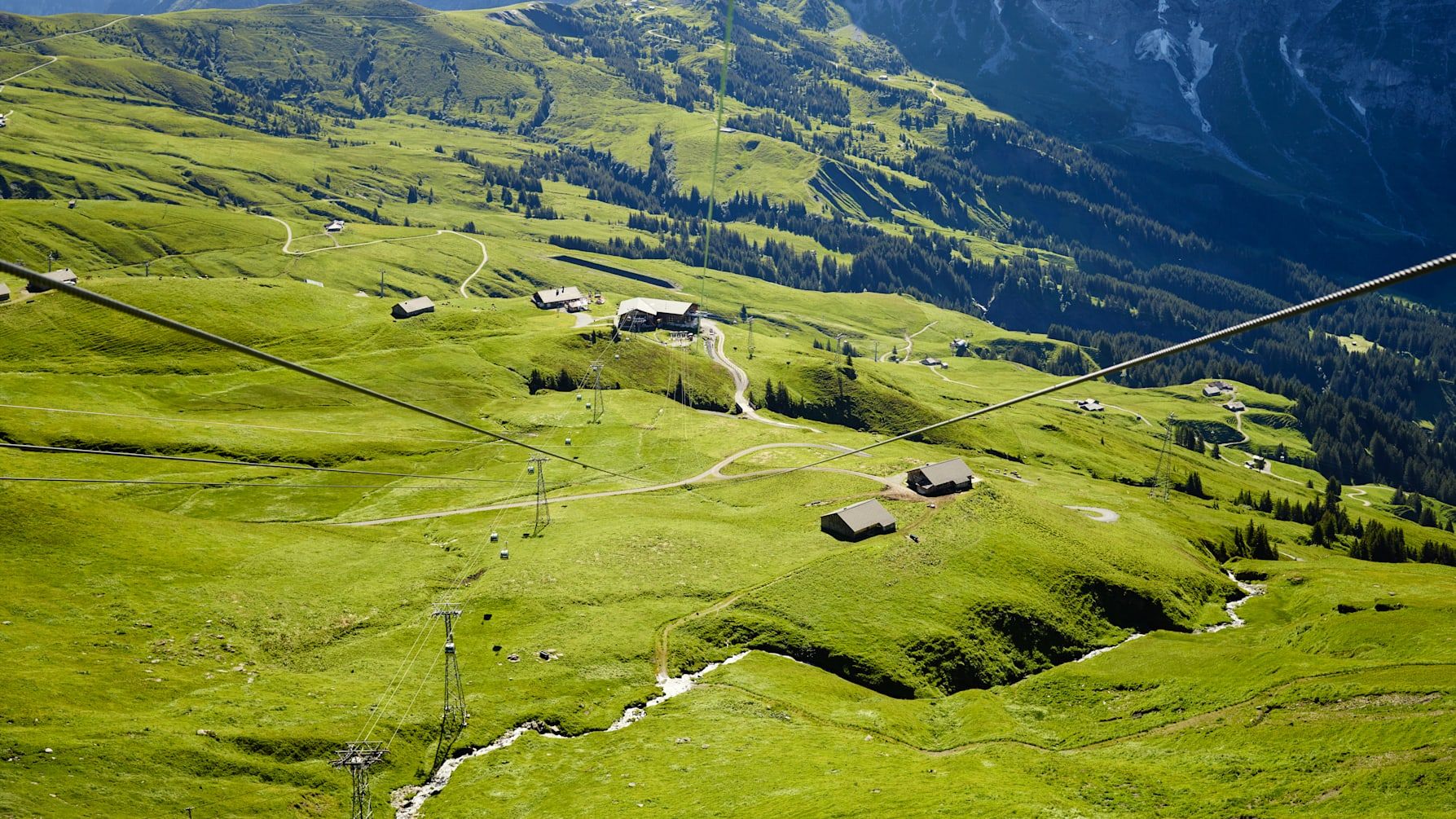 First Flieger Abenteuer in Grindelwald mit grünen Wiesen