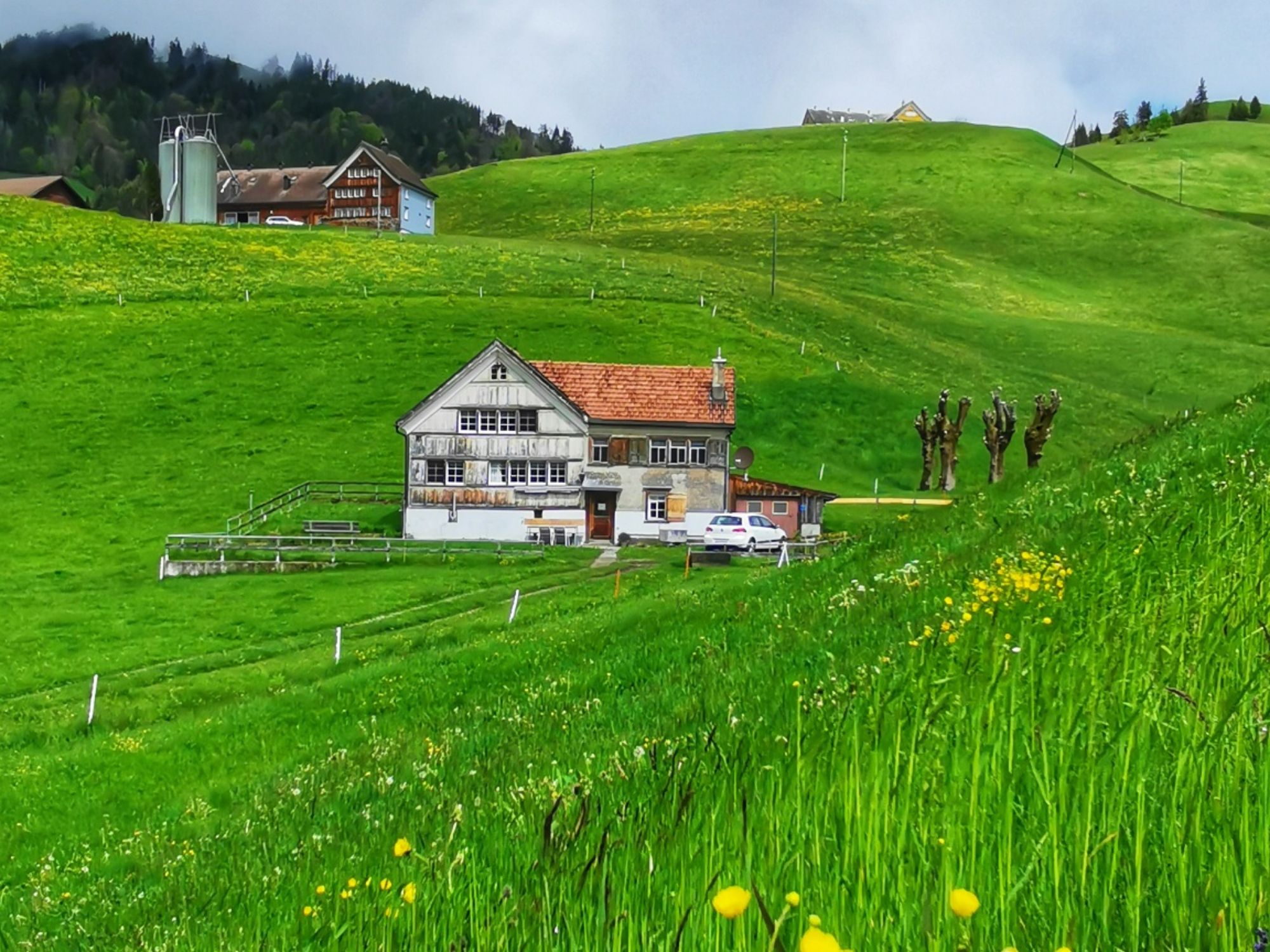Fattoria Heidi: Idillio nella natura con prati verdi e casa contadina in Svizzera.