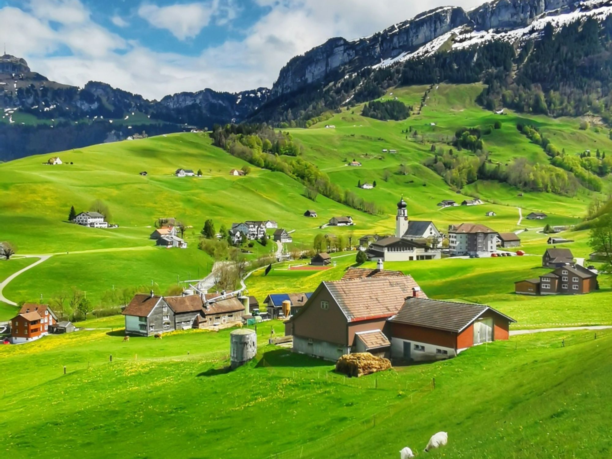 Fattoria Heidi: paesaggio pittoresco con prati, colline e edifici affascinanti nell'Oberland zurighese.