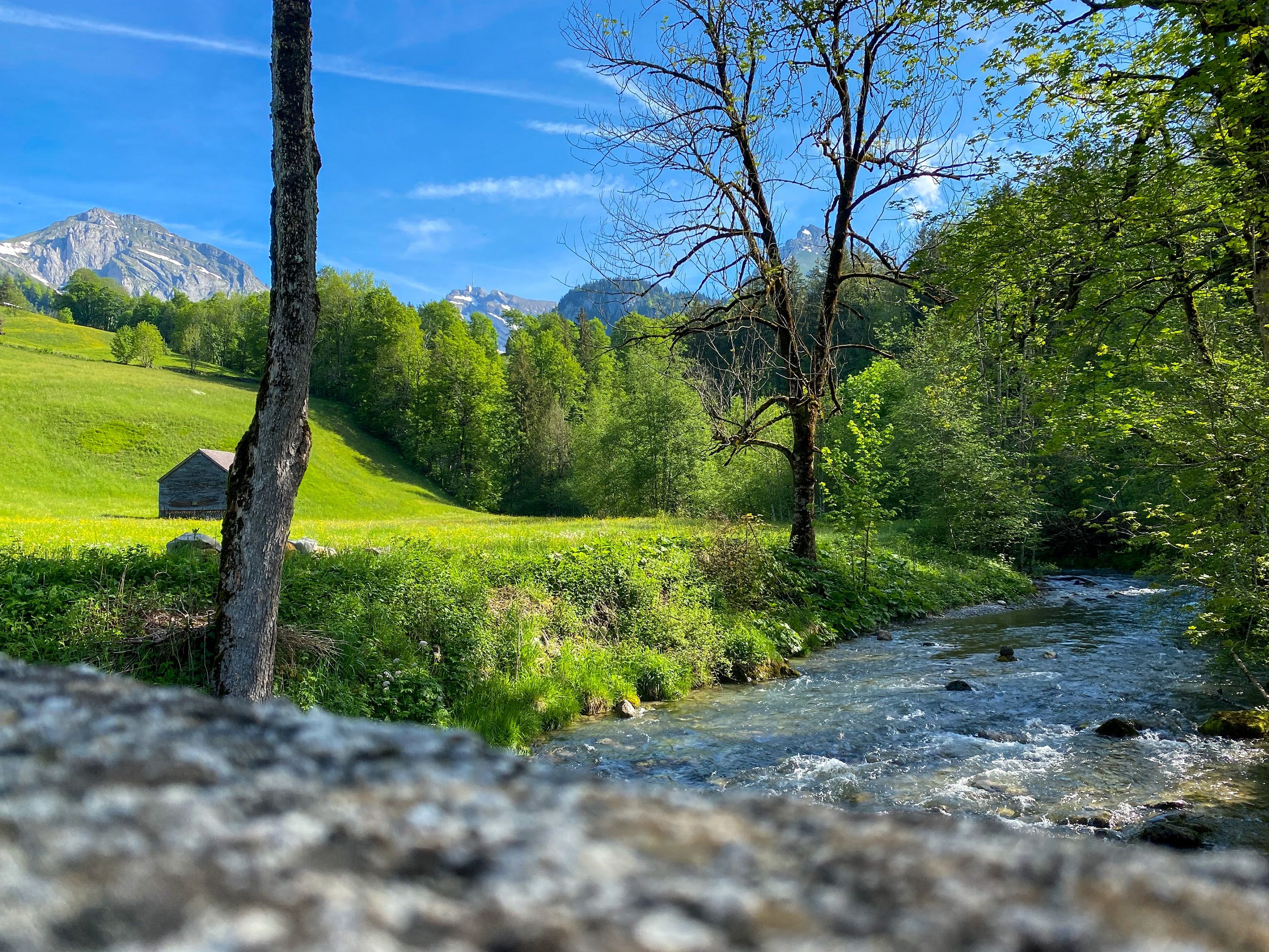 写真教室トゲンブルク：夏の山と豊かな自然に囲まれた川のそばの絵のような草原。