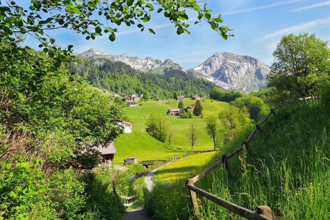 トグゲンブルクの写真教室 - 山、緑の草原、絵のような小屋がある田園風景。