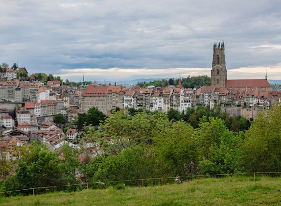 Fribourg: Panoramablick auf die Stadt mit historischem Rathaus und grünen Hügeln.