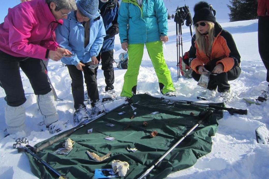 اكتشافات في غابة فلومسر برغ: اكتشافات طبيعية، مغامرات ونشاط جماعي في الشتاء.