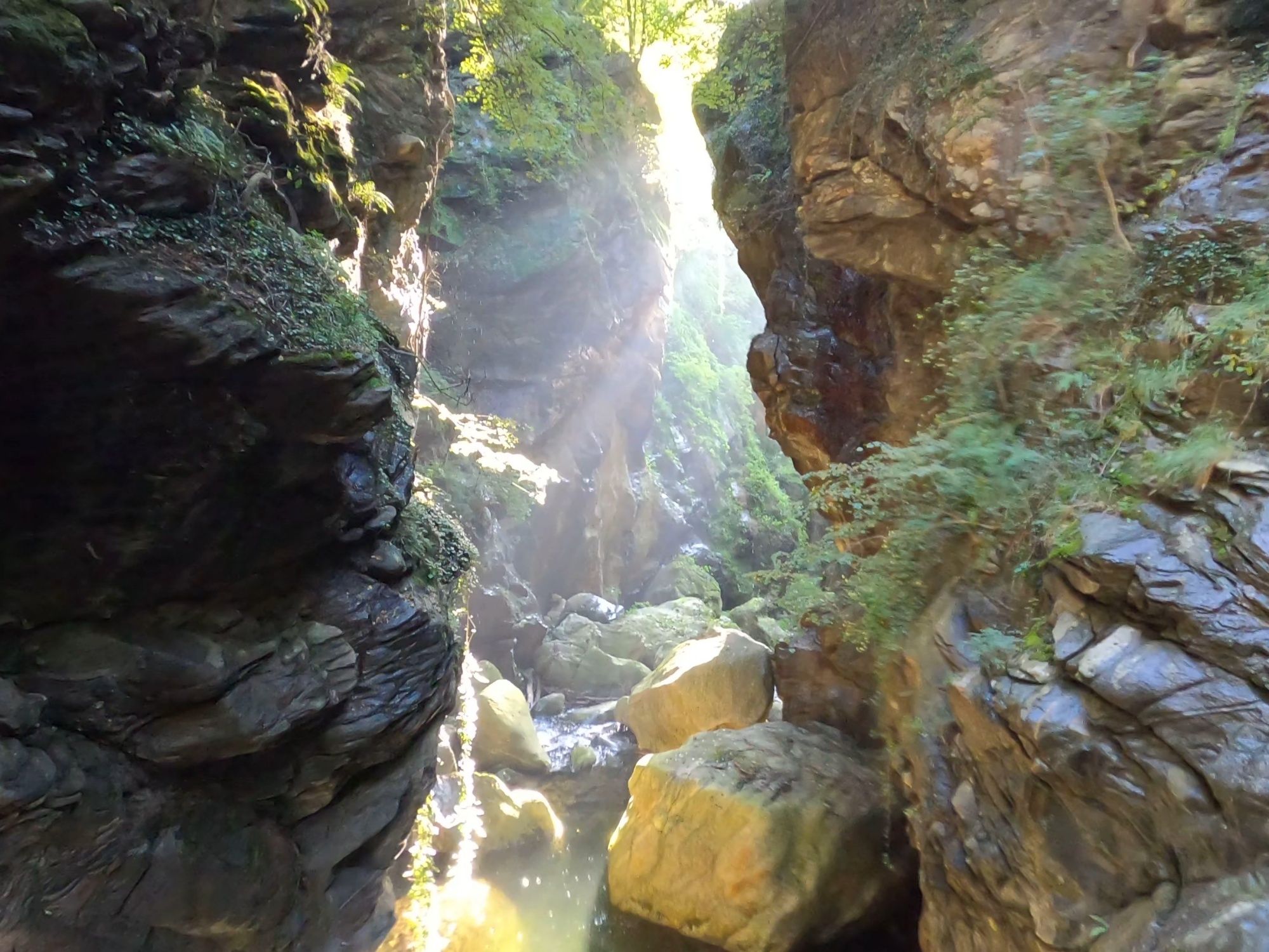 Canyoning en Malvaglia: Experimenta formaciones rocosas espectaculares y aguas claras en la naturaleza.