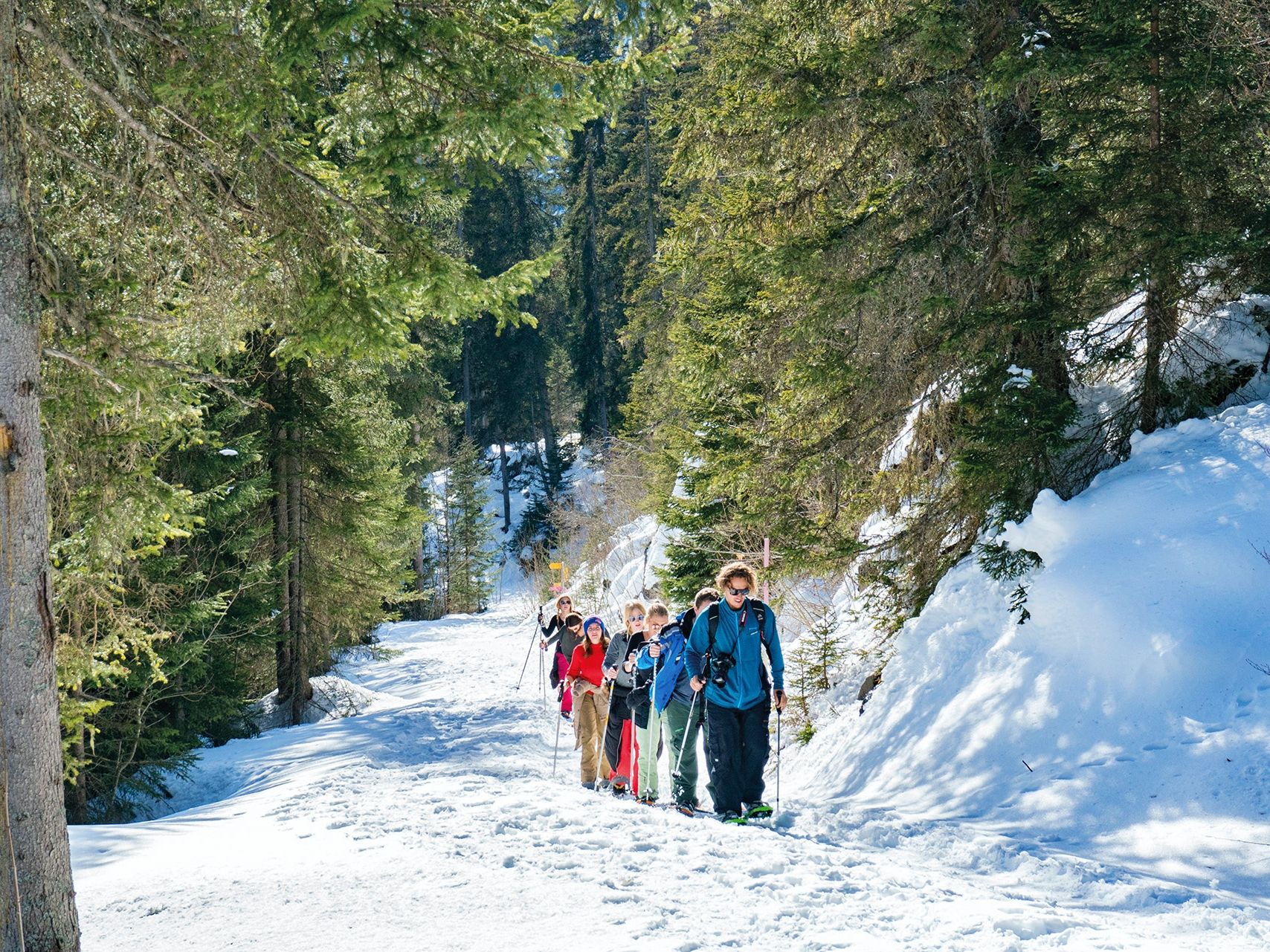 Guidet snesko-tur i Interlaken med deltagere på sneklædt sti.