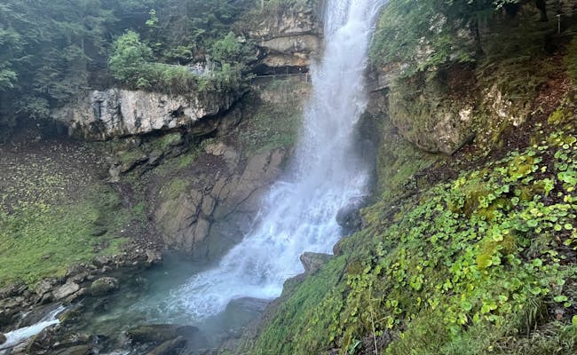 ギエスバッハの滝:緑の自然に囲まれたブリエンツ湖の滝の印象的な景色。