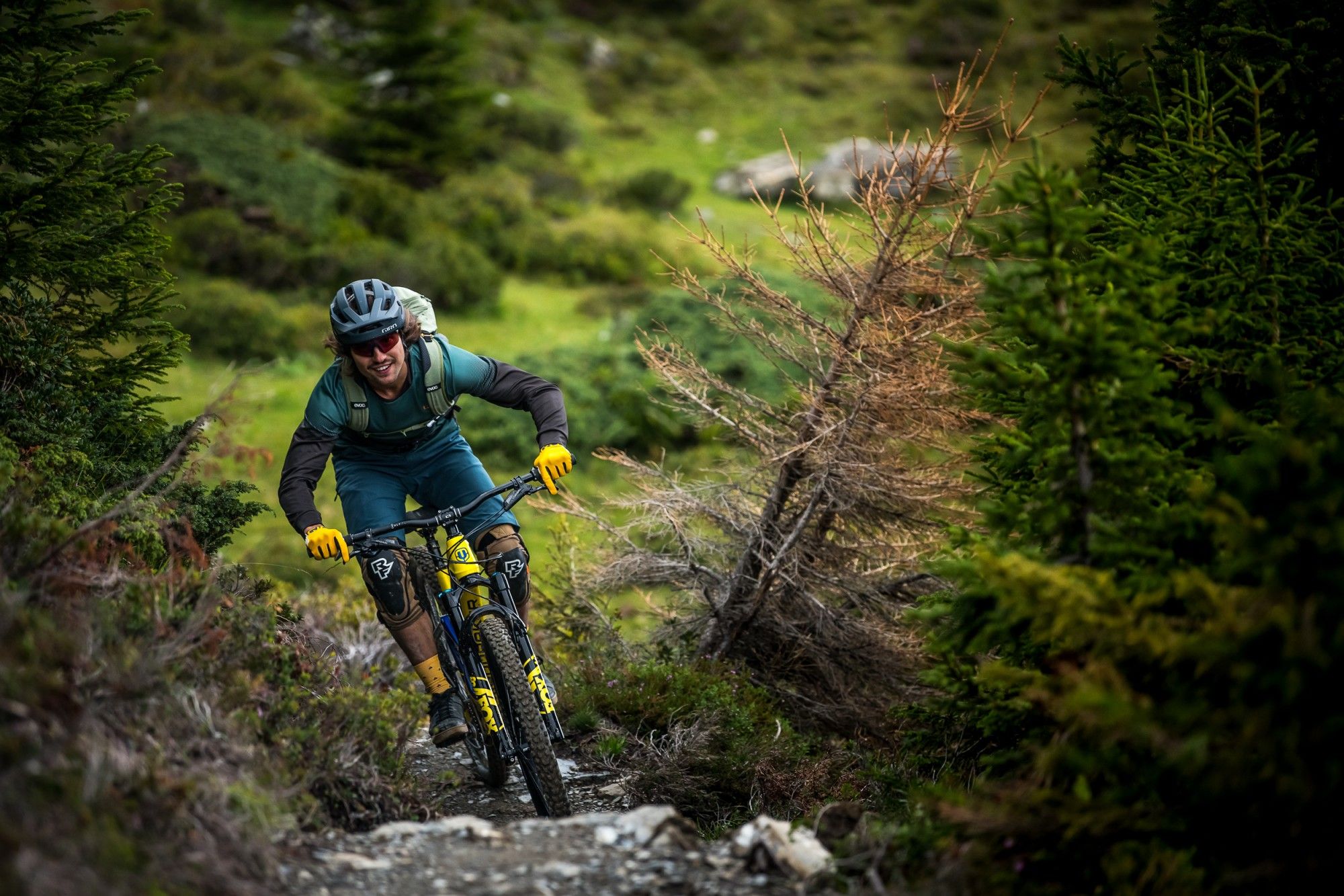 पहाड़ी रास्ते पर ट्रेकिंग कर रहा माउंटेन बाइक चालक, हरियाली वाला क्षेत्र और पर्वतीय पौधे।