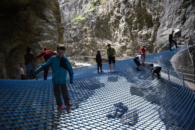 ग्रिडेलवाल्ड के हिमनद घाटी में मकड़ी का जाल, बच्चे और वयस्क जाल पर