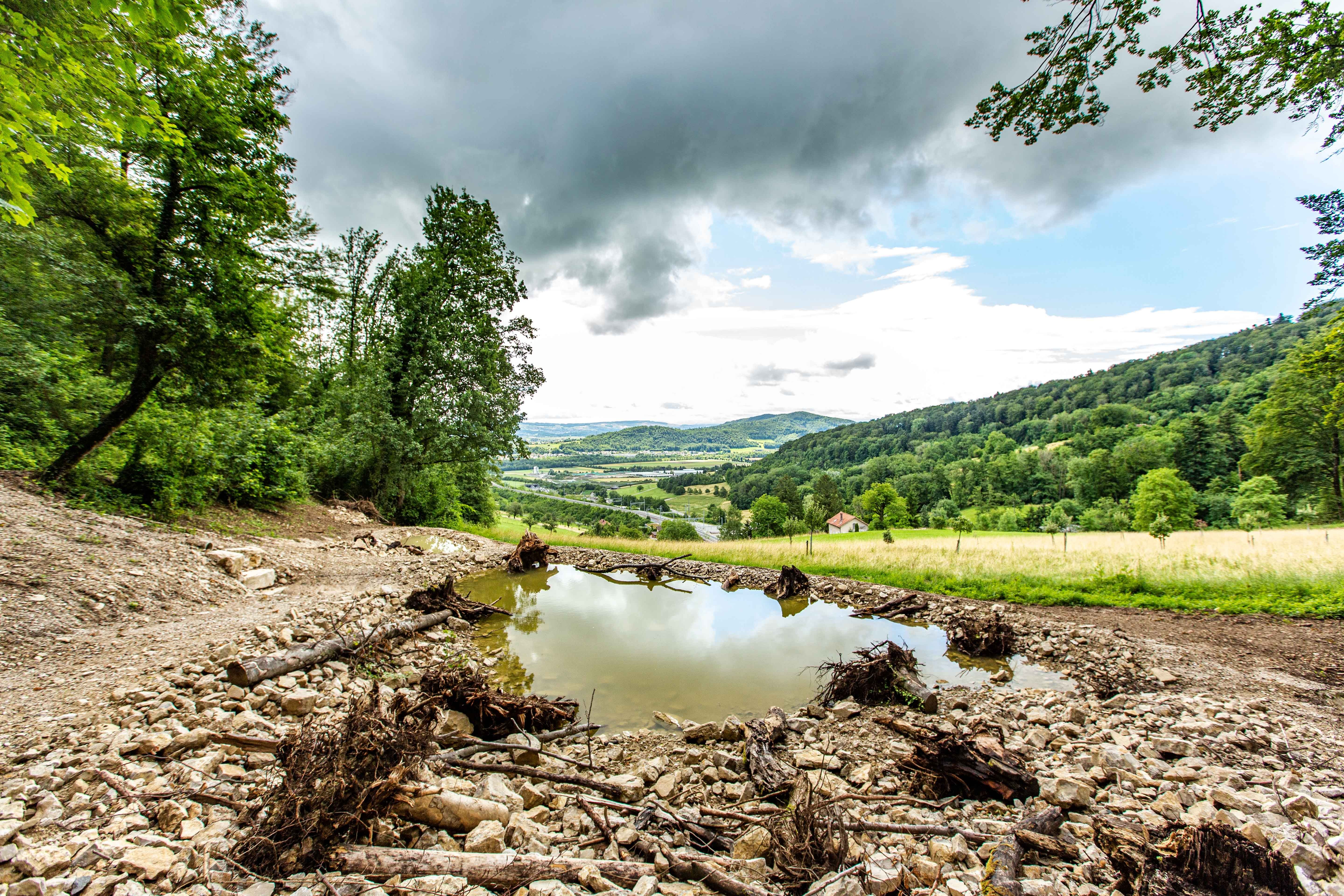Escursione Glögglifrosch: Esplora la bellezza di Bözenegg con vista sulle Alpi e varietà naturale.