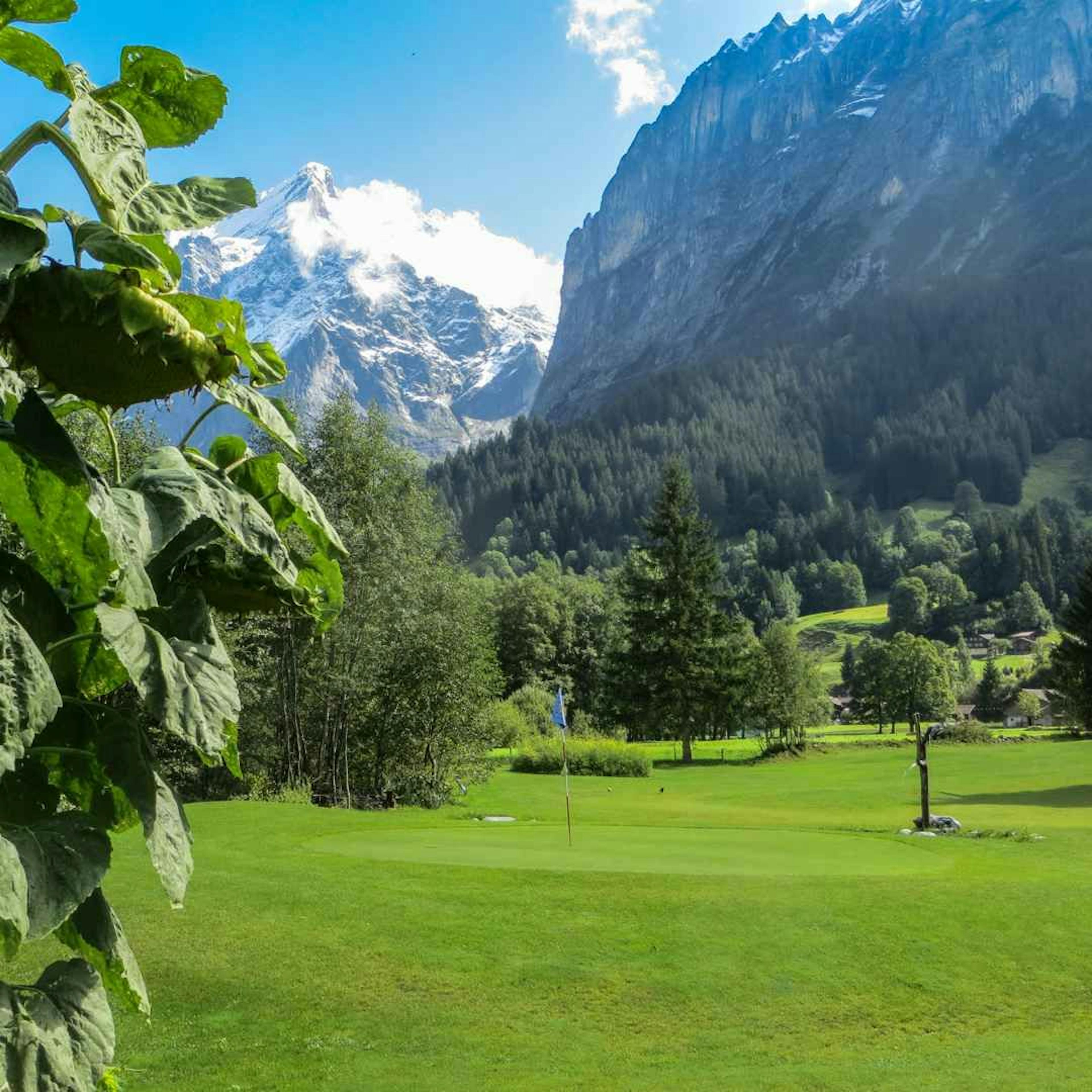 Golfplatz Grindelwald mit Blick auf Wetterhorn und Berge
