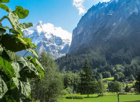 Campo de golf Grindelwald con vista al Wetterhorn y las montañas