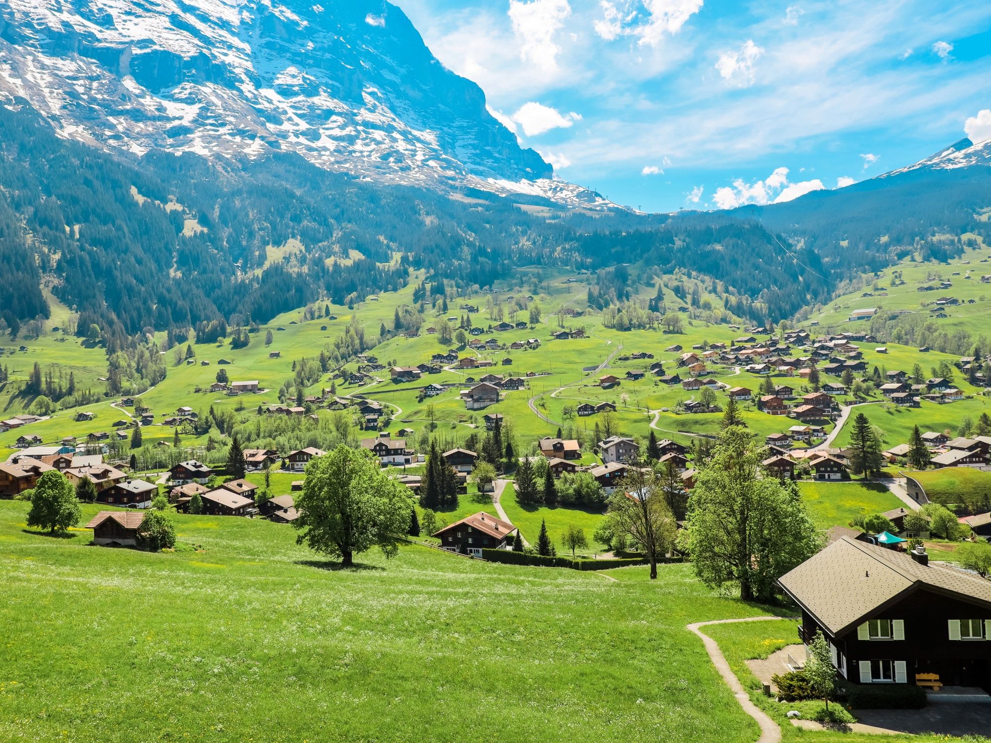 Grindelwald: picturesque landscape with green meadows and majestic mountains in summer.