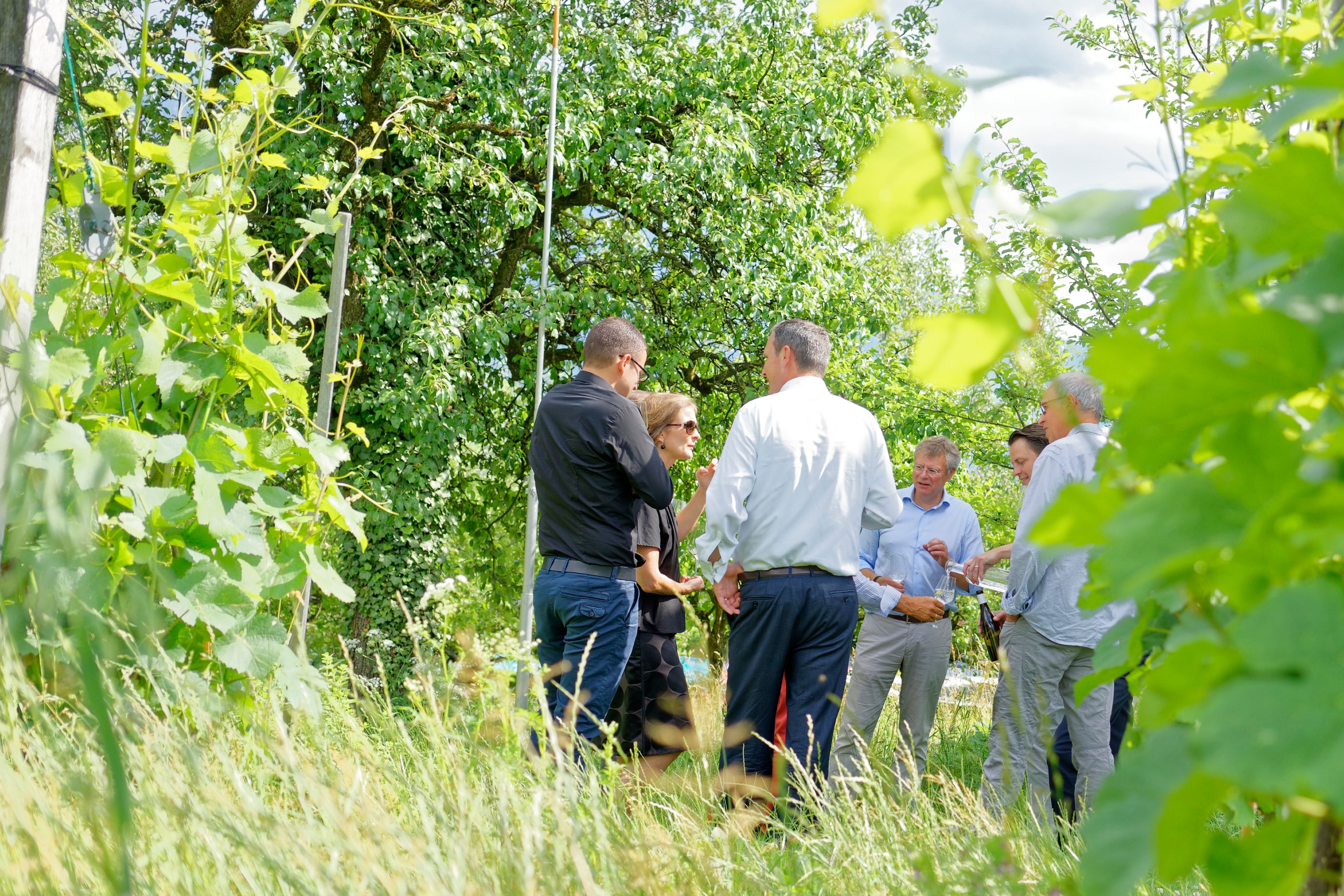Guida di gruppo nel vigneto, i partecipanti discutono della viticoltura, atmosfera rilassata