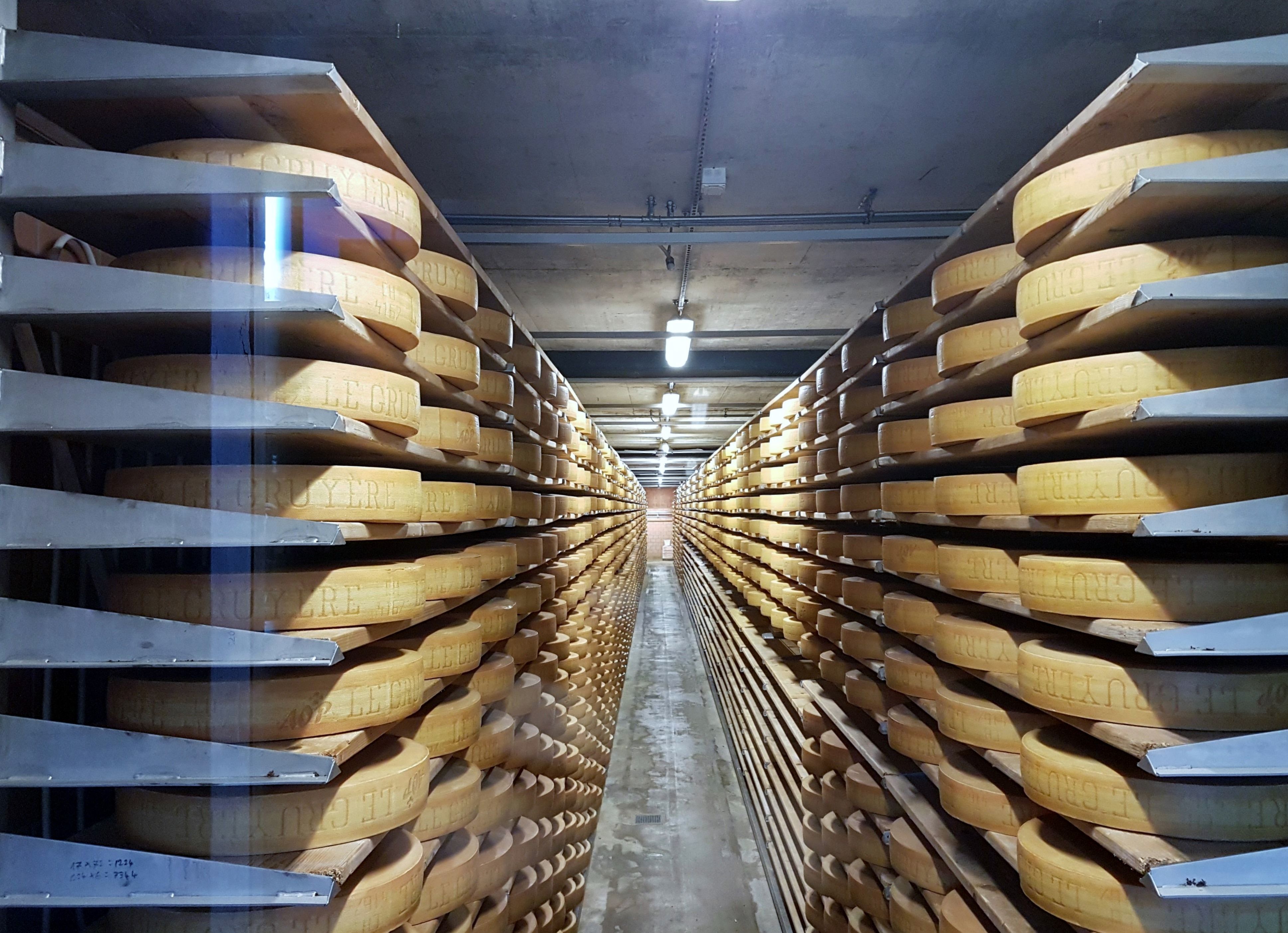 Keju Gruyère di ruang penyimpanan dengan rak