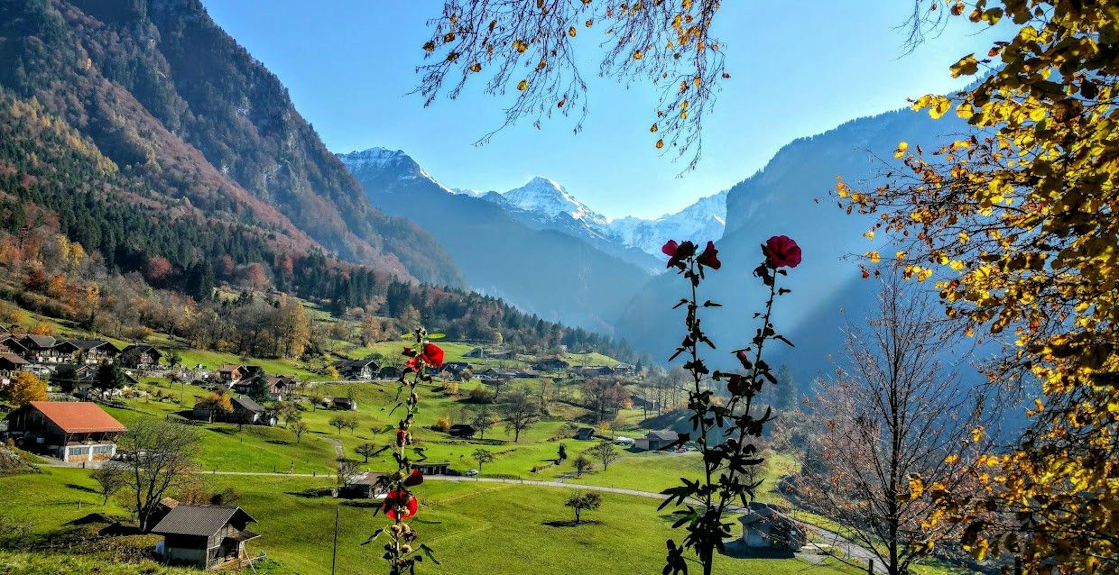 Gasteigwiler dengan gunung, kelopak mawar, padang rumput hijau di musim luruh