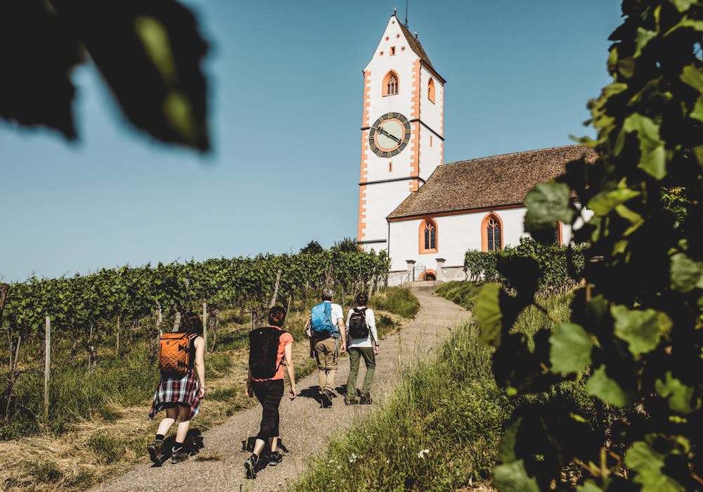 Gächlingen: Descubre el pintoresco paisaje vinícola y la iglesia durante una caminata por Suiza.