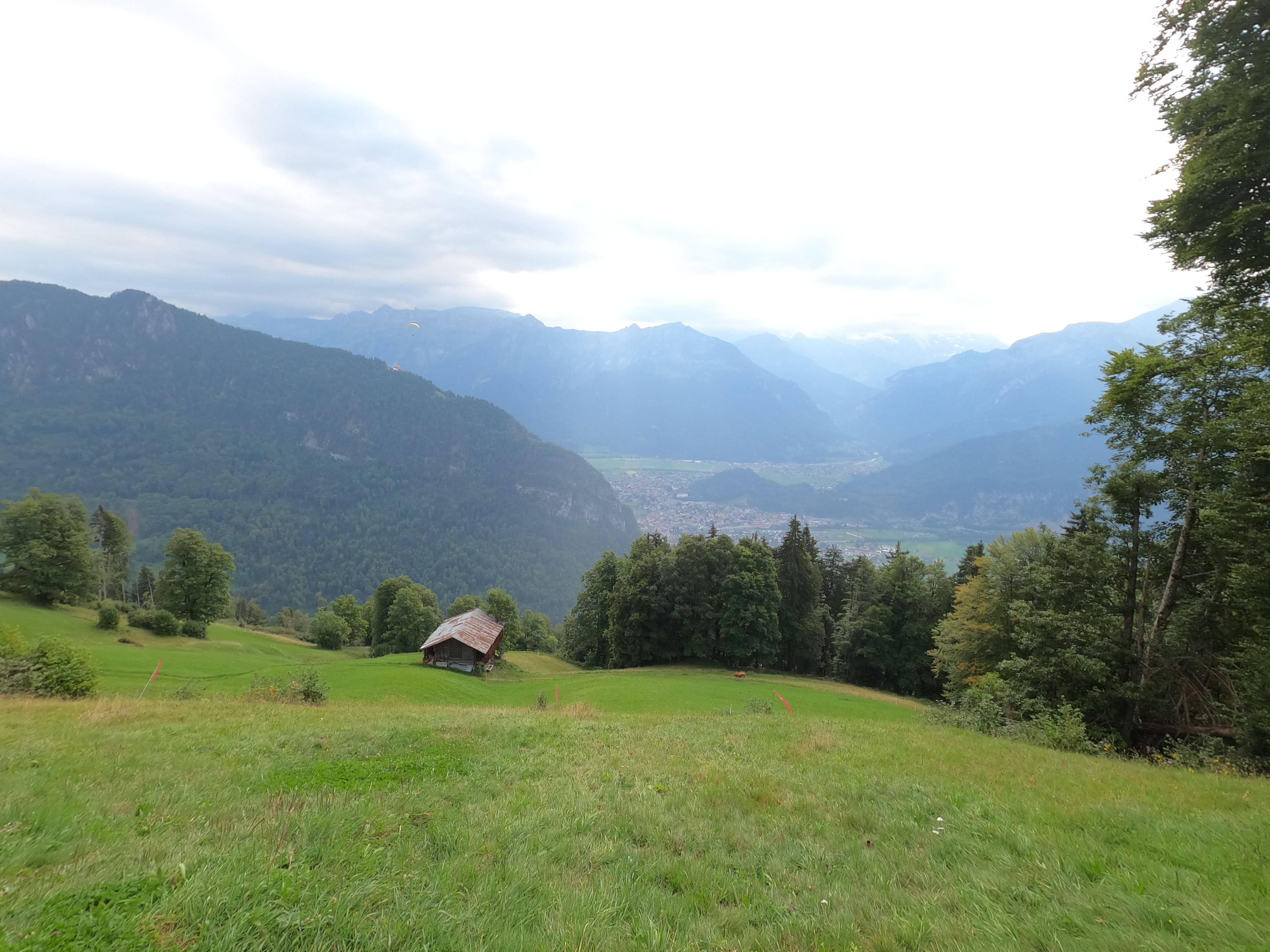 Volo con il deltaplano a Interlaken con vista sulle Alpi