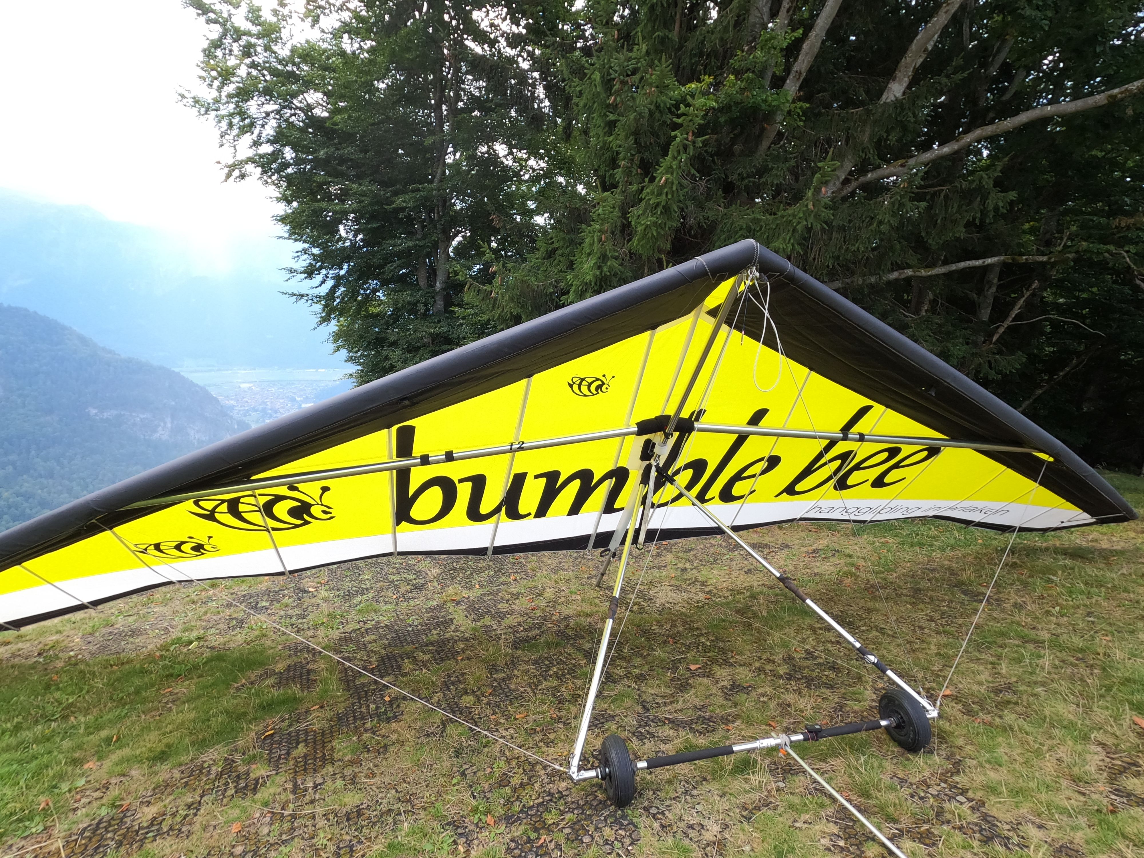 Bumblebee Hang Gliding a Interlaken con bel tempo