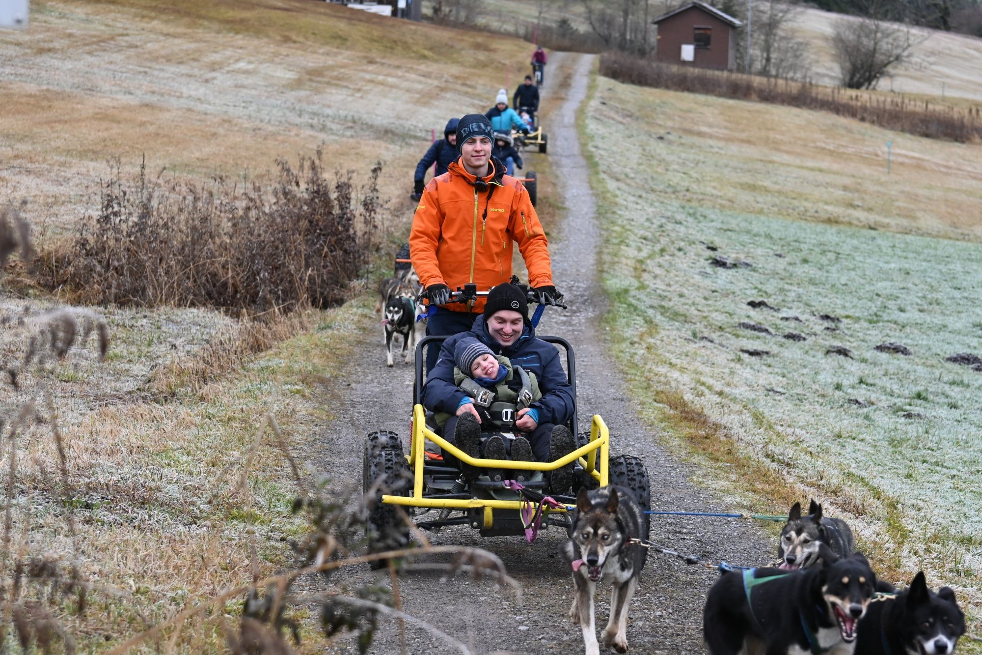 Huskymotion：在雪-covered冬季景观中与狗一起滑雪，适合冒险爱好者。