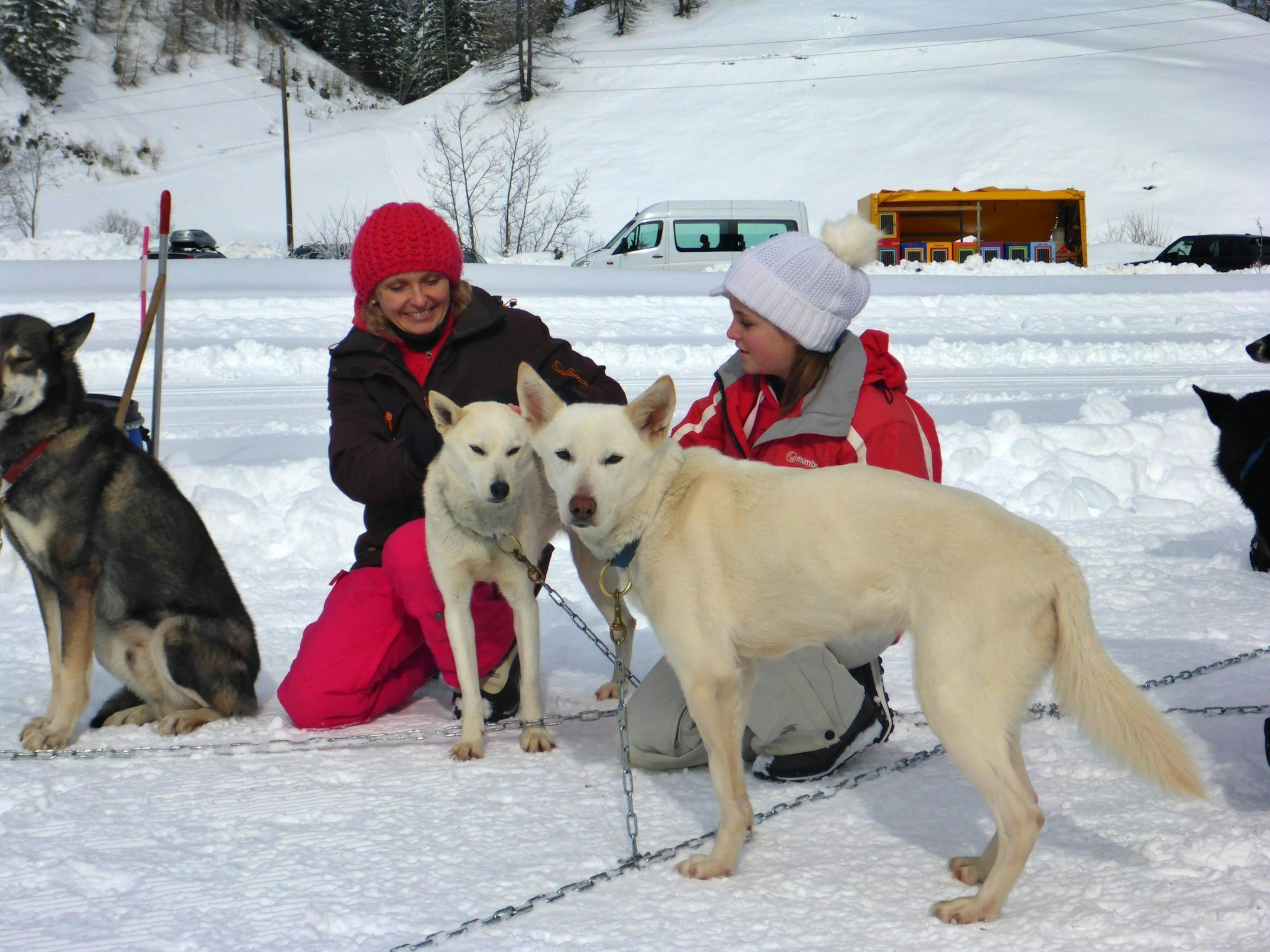 Huskystuff: Hundeschlittenfahrt mit Huskys im Winter in einer schneebedeckten Landschaft